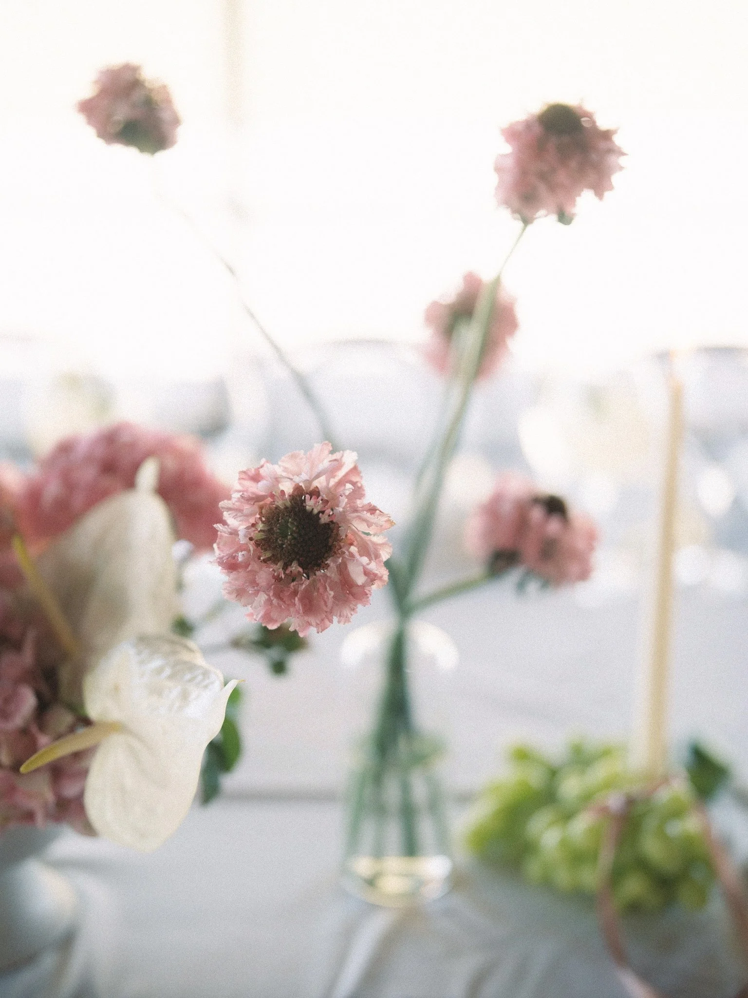 Close-up of pink and white flowers in a glass vase on a light-colored surface.