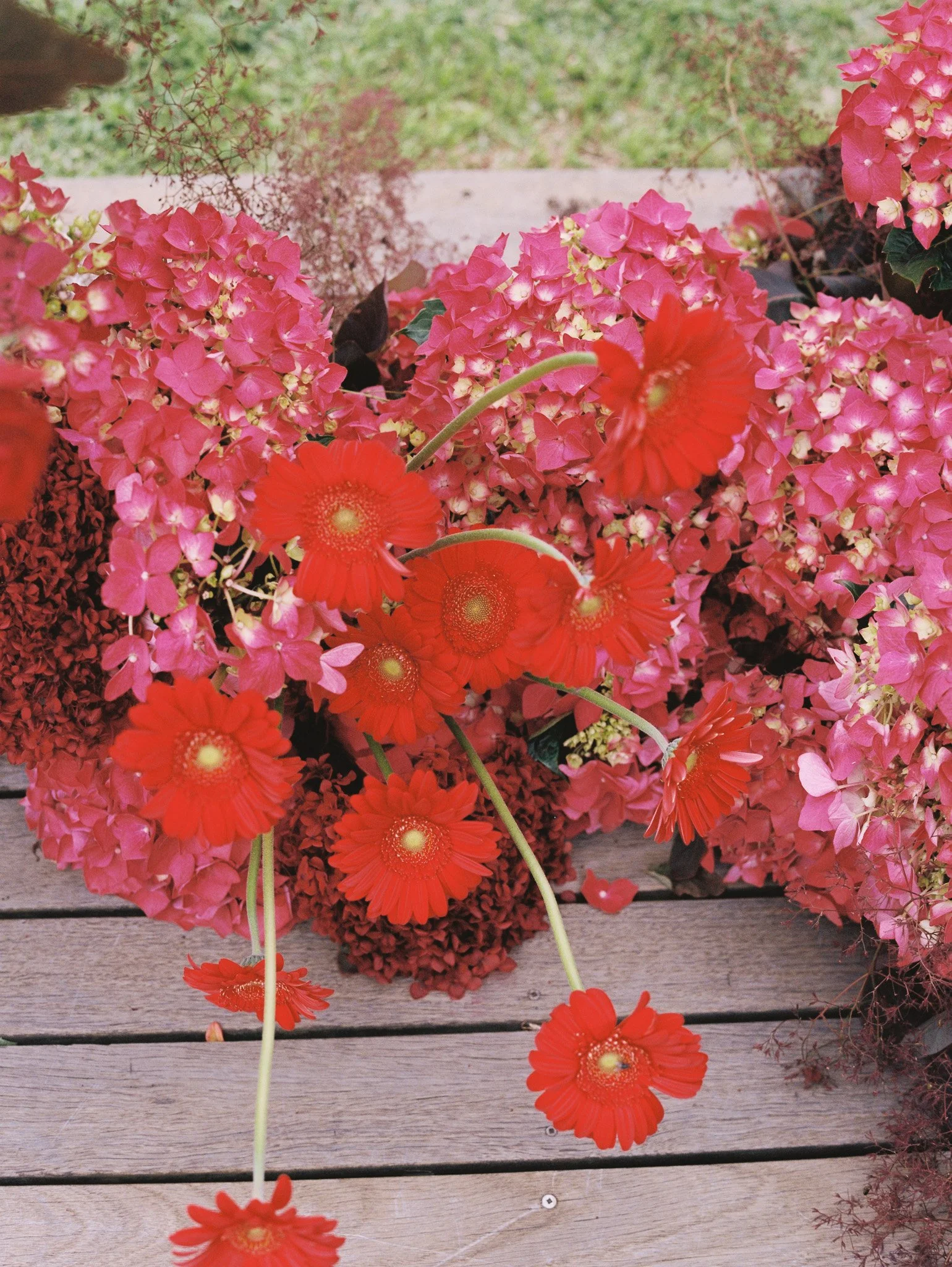 Pink and red flowers on a wooden surface with a grassy background.