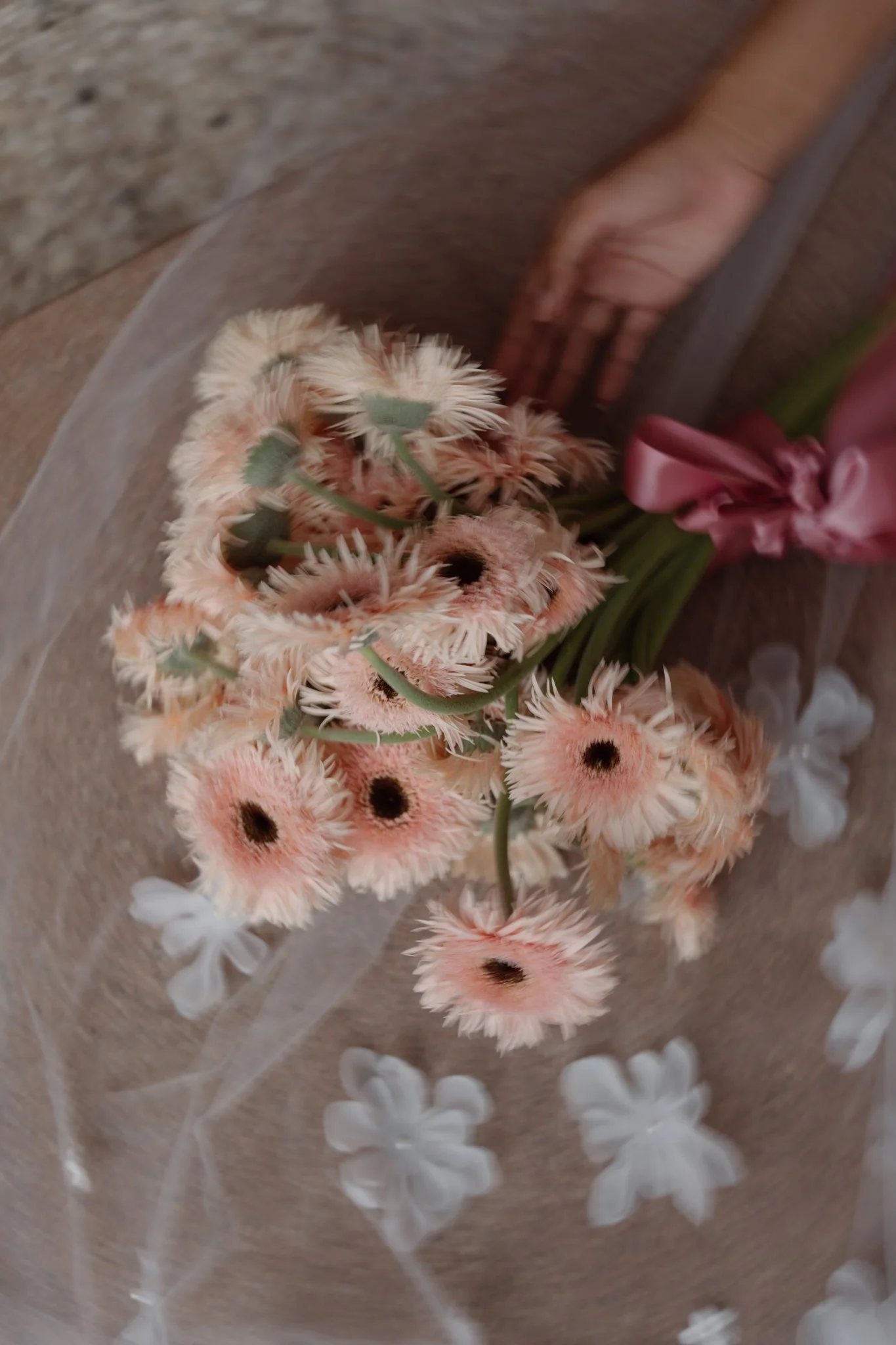 Close-up of peach-colored flowers with dark centers wrapped in clear plastic, with white flowers underneath.