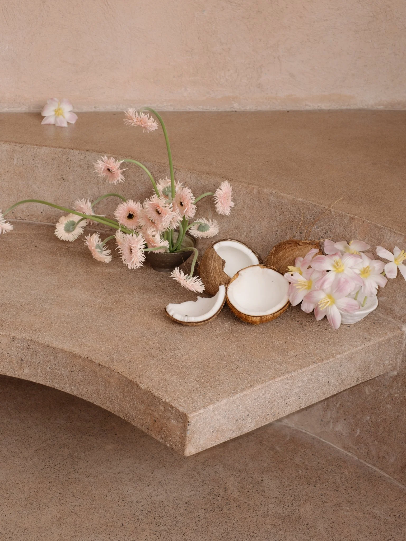 Pink flowers with green stems placed on a beige stone surface with coconut shells and a bowl.