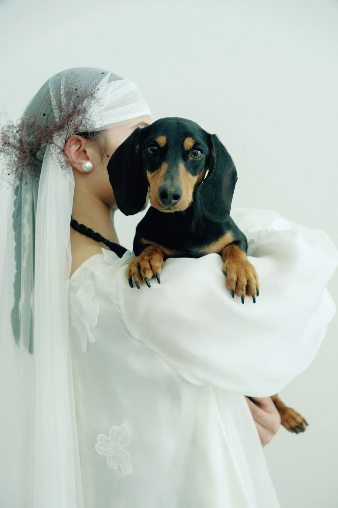 Person wearing a white dress and head covering, holding a black and tan Dachshund with long ears, against a plain white background.