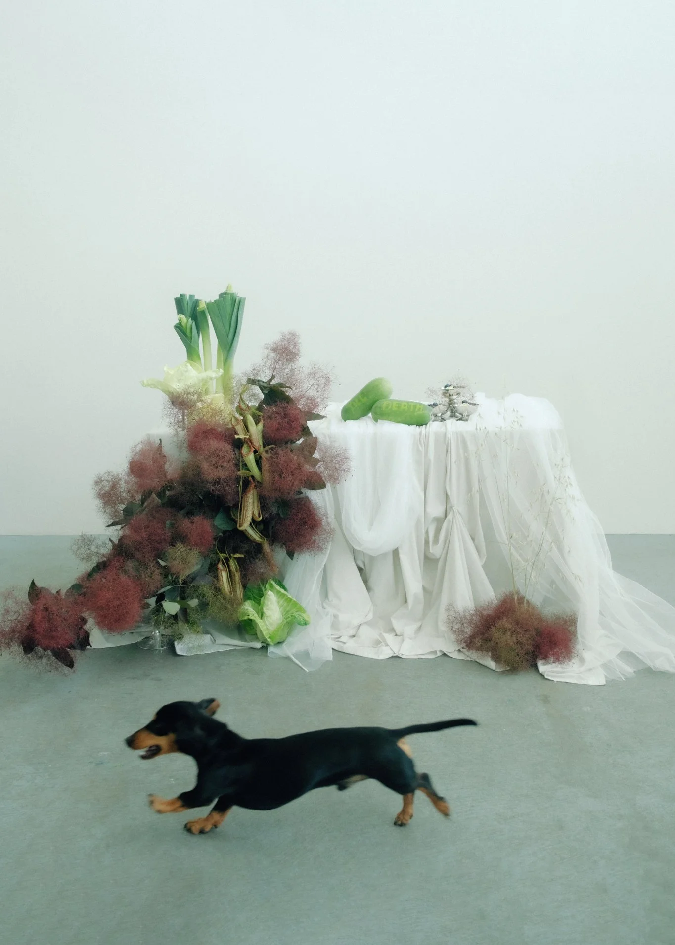 A black and tan dog walking in front of a white-draped table decorated with green and red plant arrangements, two green ceramic objects, and a small metal sculpture, against a plain white wall.