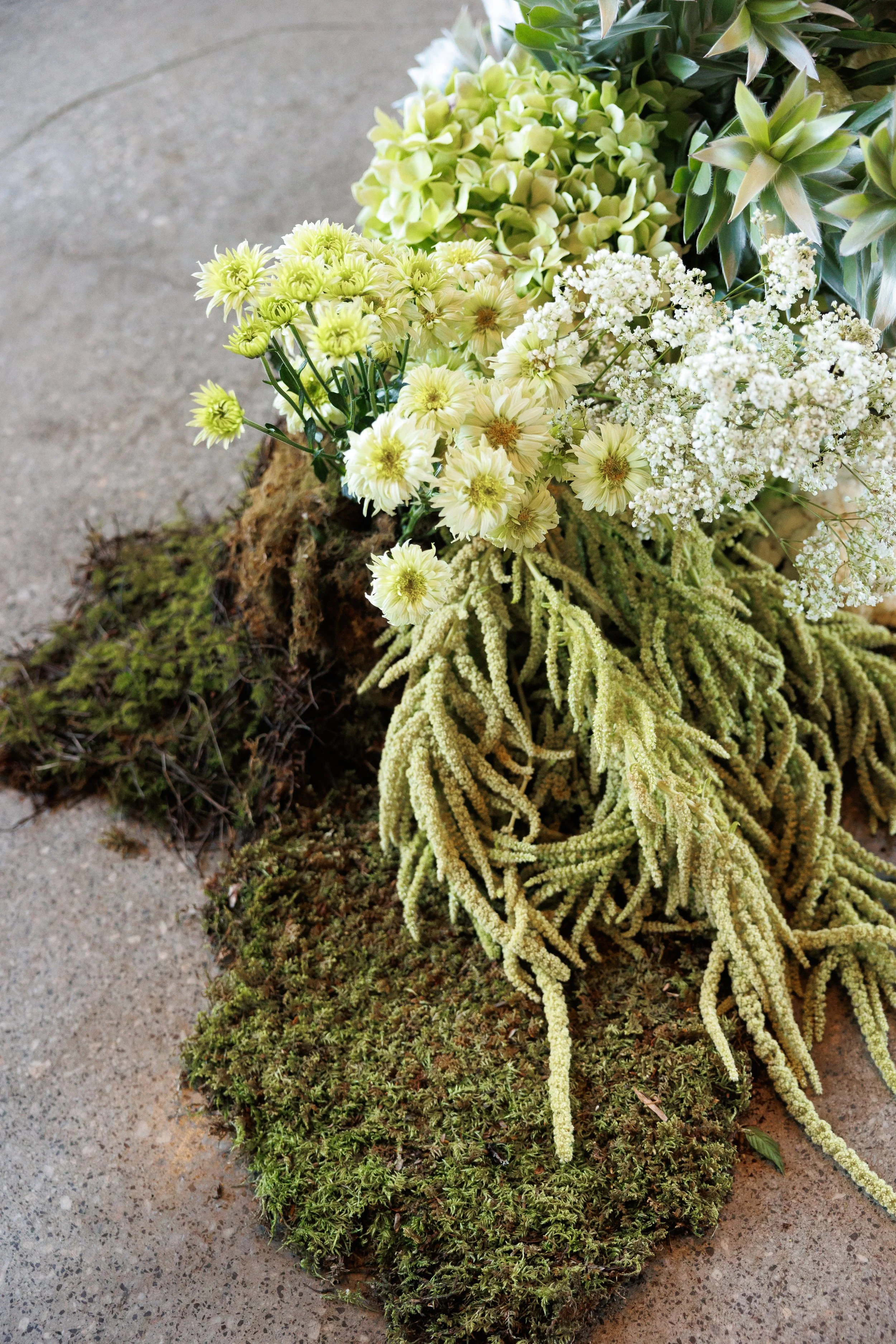 Various green and white plants arranged on a mossy surface on a concrete floor.