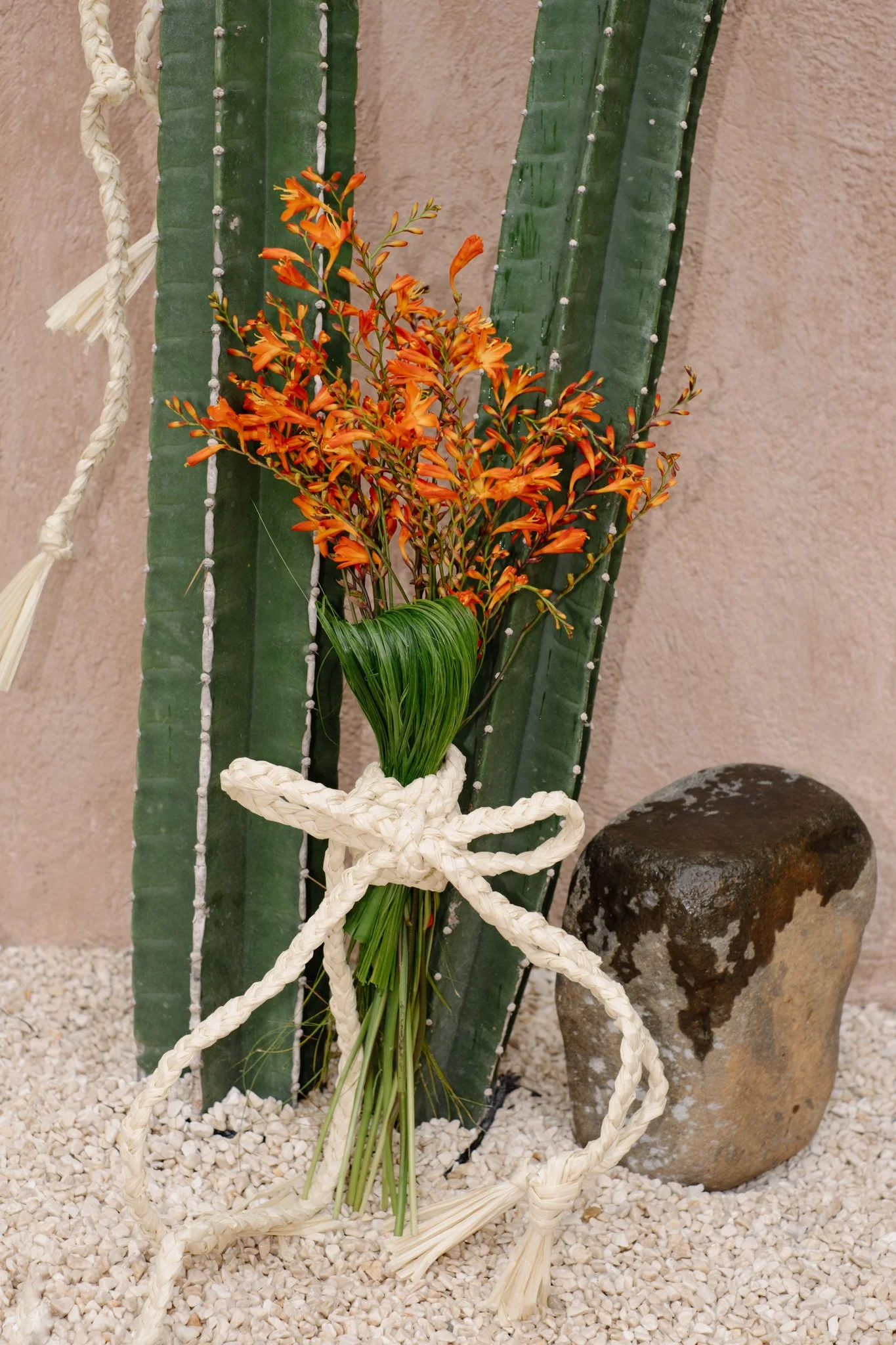 A bouquet of orange flowers with green leaves, tied with a white woven ribbon, placed in front of tall green cactus plants and a large rock on a bed of small white pebbles.