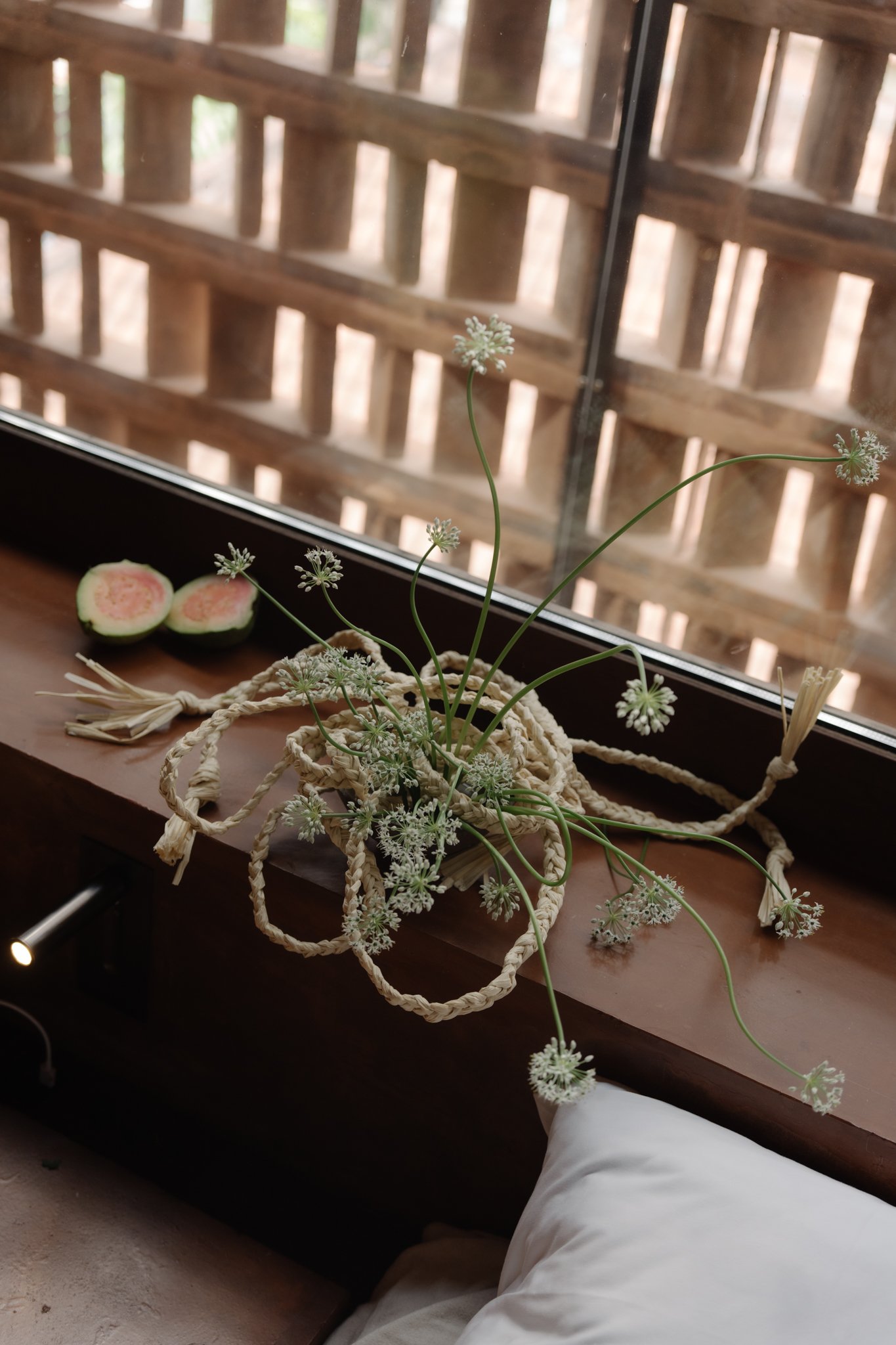 A window with a wooden lattice design and a potted plant with white flowers on the windowsill, with two slices of cucumber in the background.