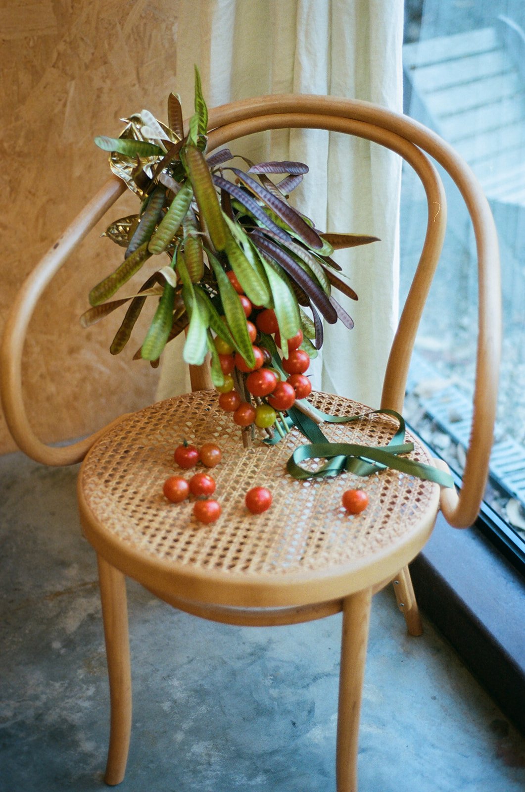 A wooden chair with a caned seat holding a bunch of red berries with green leaves, some berries spilled onto the seat, next to a window with a sheer curtain.