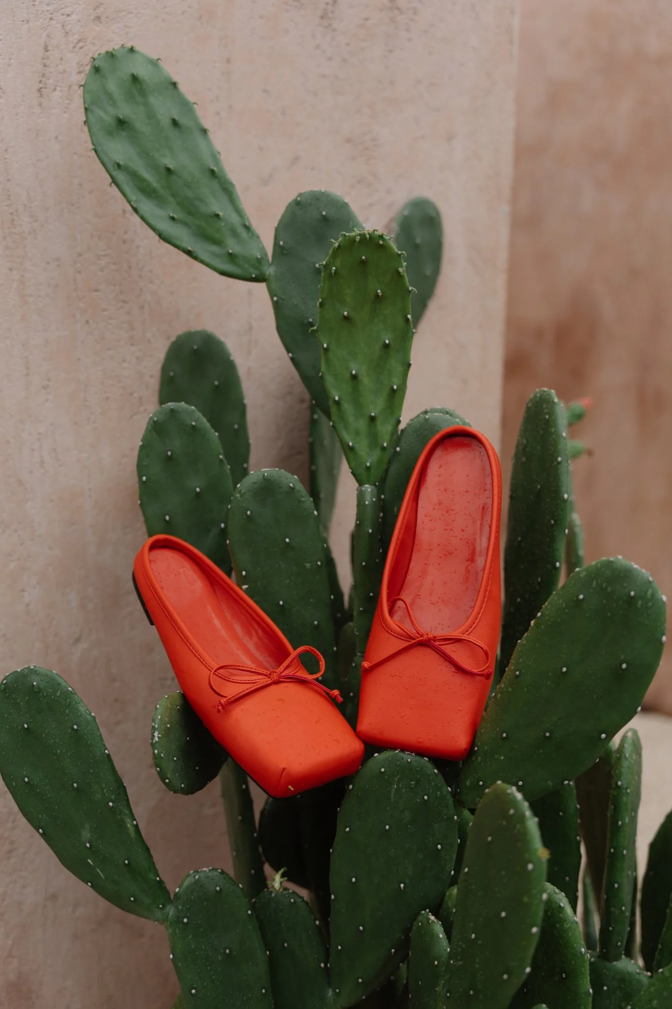 A pair of orange shoes placed on top of a cactus plant with green pads.