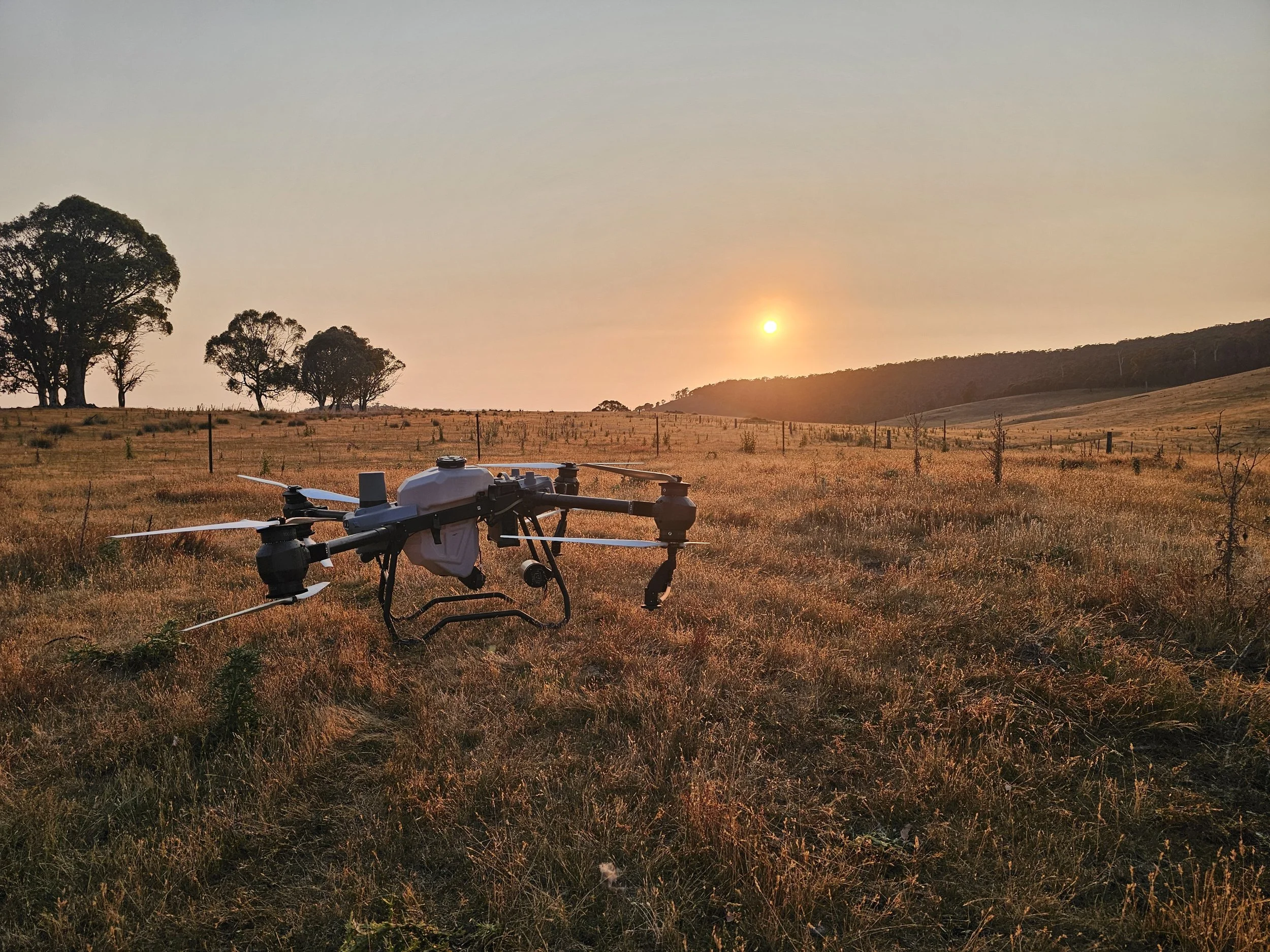A drone is on the ground in an open field with dry grass, with trees and a hill in the background, and a sunset in the sky.
