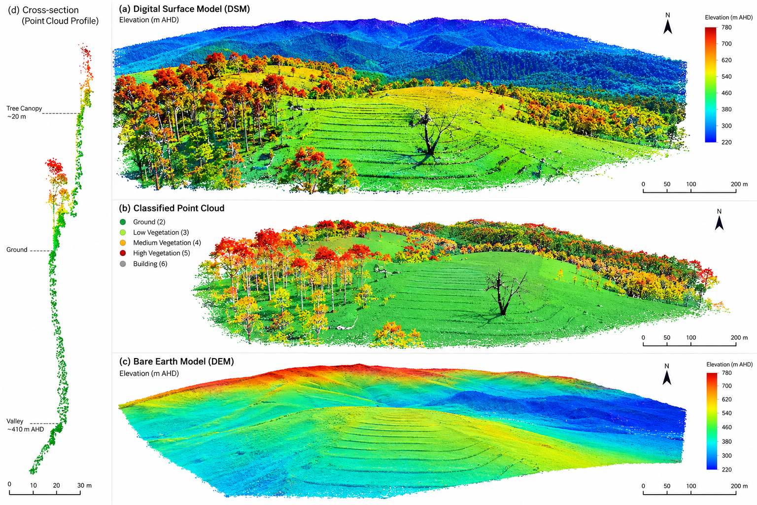 Comparison of landscape models including a digital surface model, classified point cloud, and bare earth model, illustrating elevation, vegetation, and terrain features with color coding and annotations.
