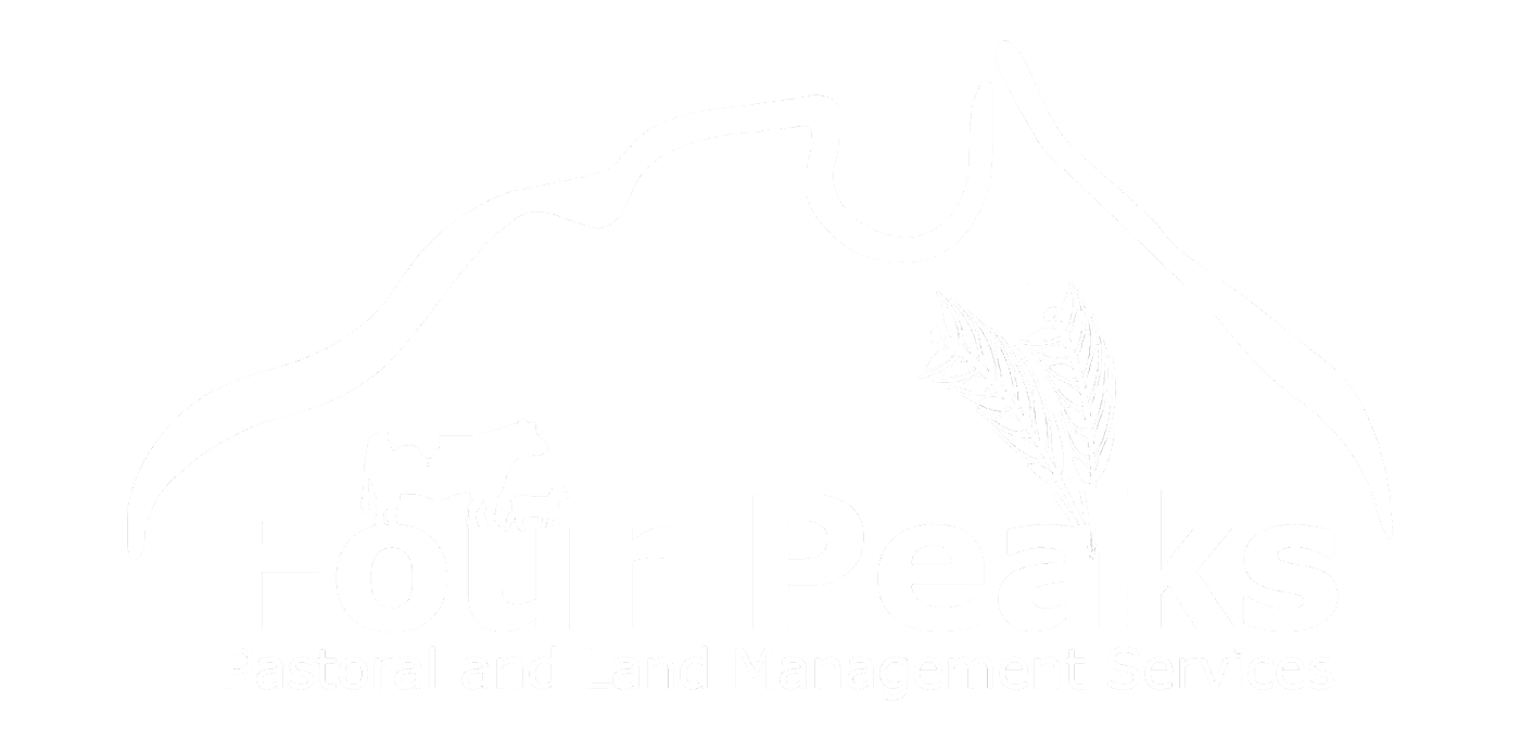Logo for Four Peaks Pastoral and Land Management Services featuring a mountain outline, a cow, and two wheat stalks.