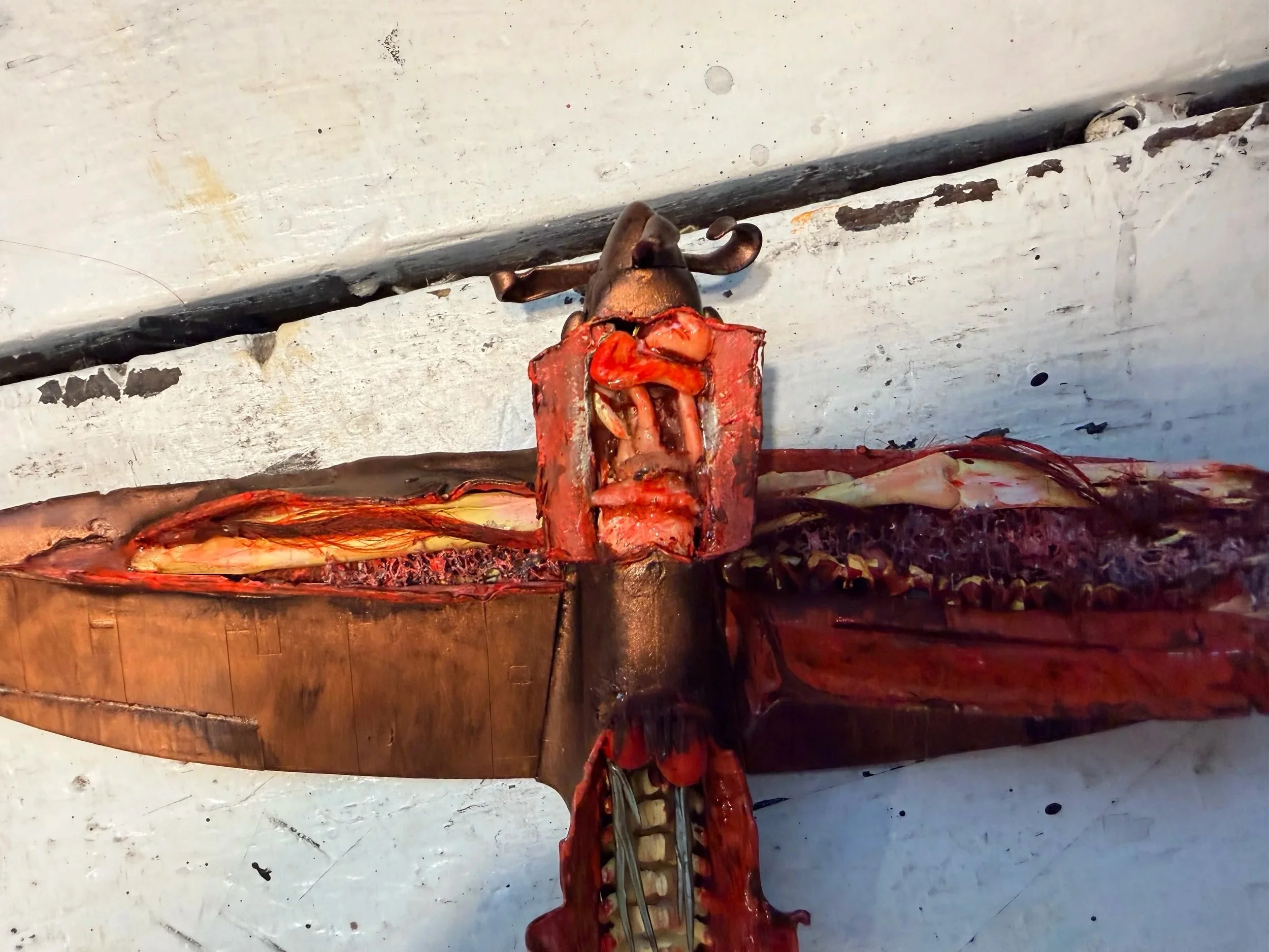 A cross-section of an animal carcass, likely a pig, with exposed internal organs and tissues, lying on a wooden surface against a plain wall.