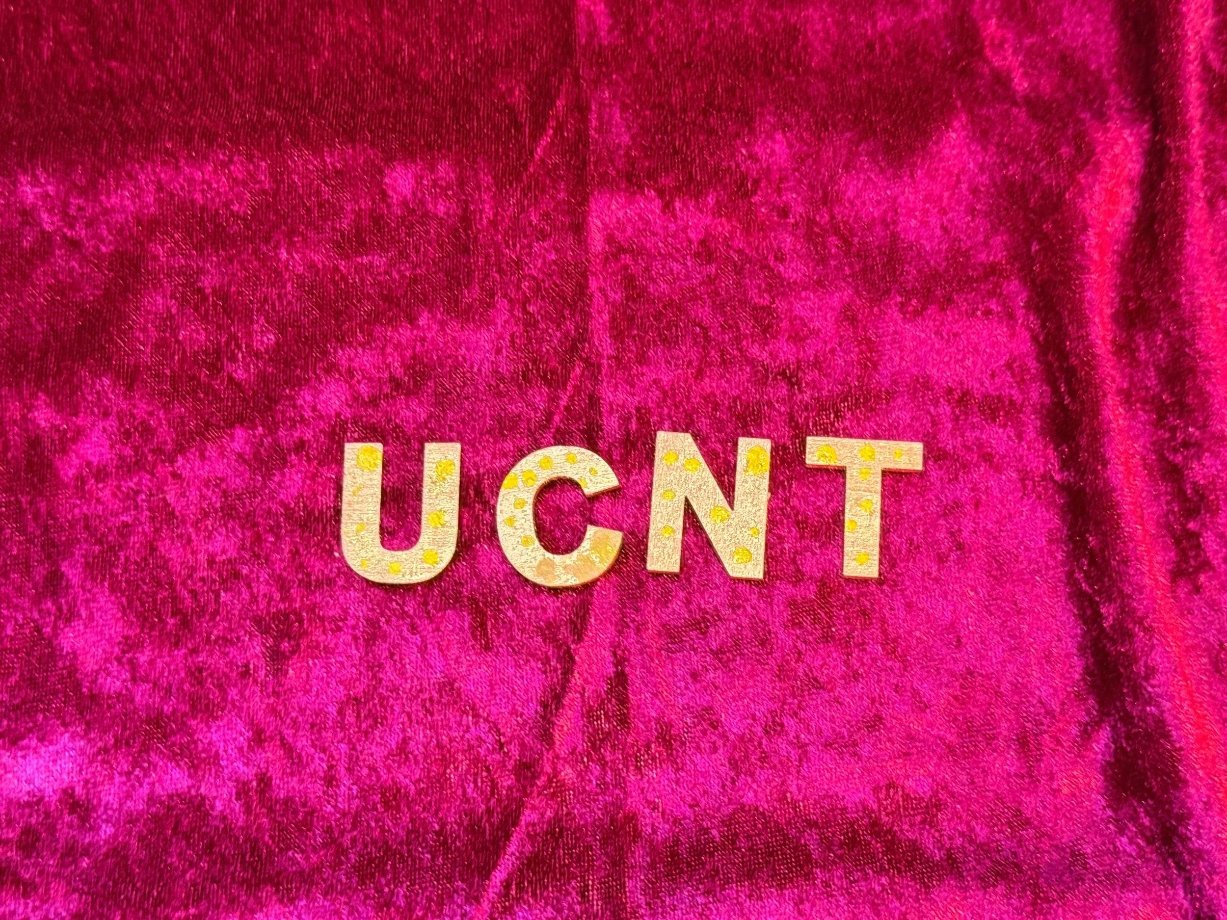 Close-up of pink, fuzzy fabric with decorative letters on it spelling 'LUCIEN'. The fabric appears to be plush and velvety.