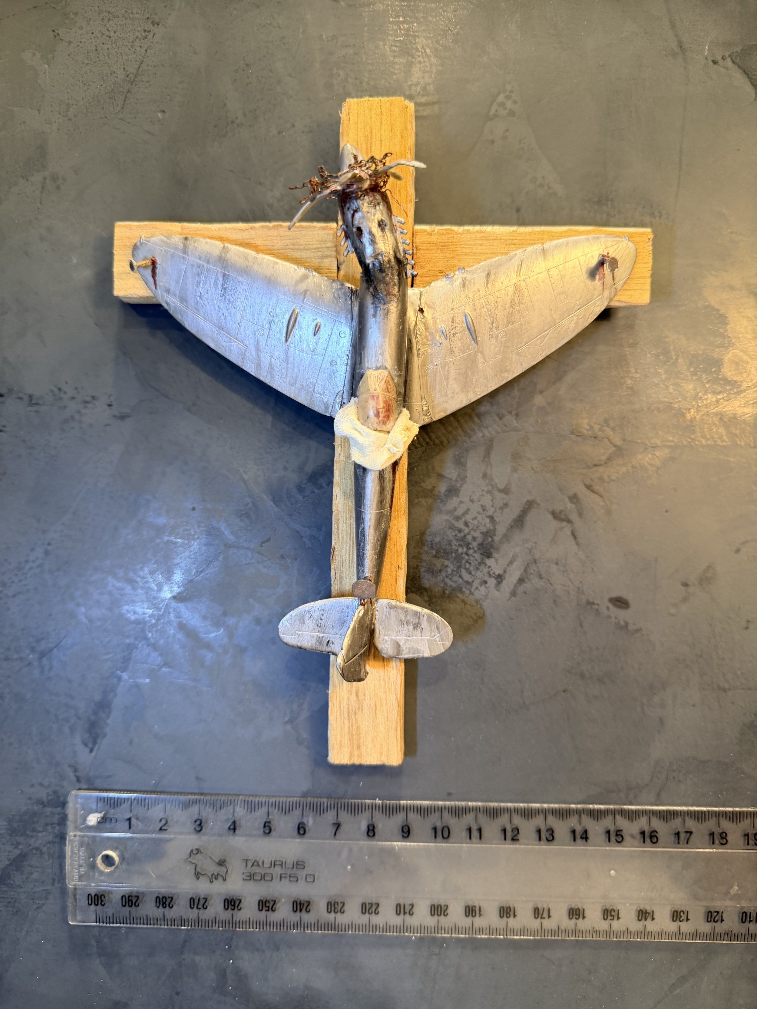 A large moth with gray and black markings on its wings resting on a wooden cross, with a ruler at the bottom for scale.