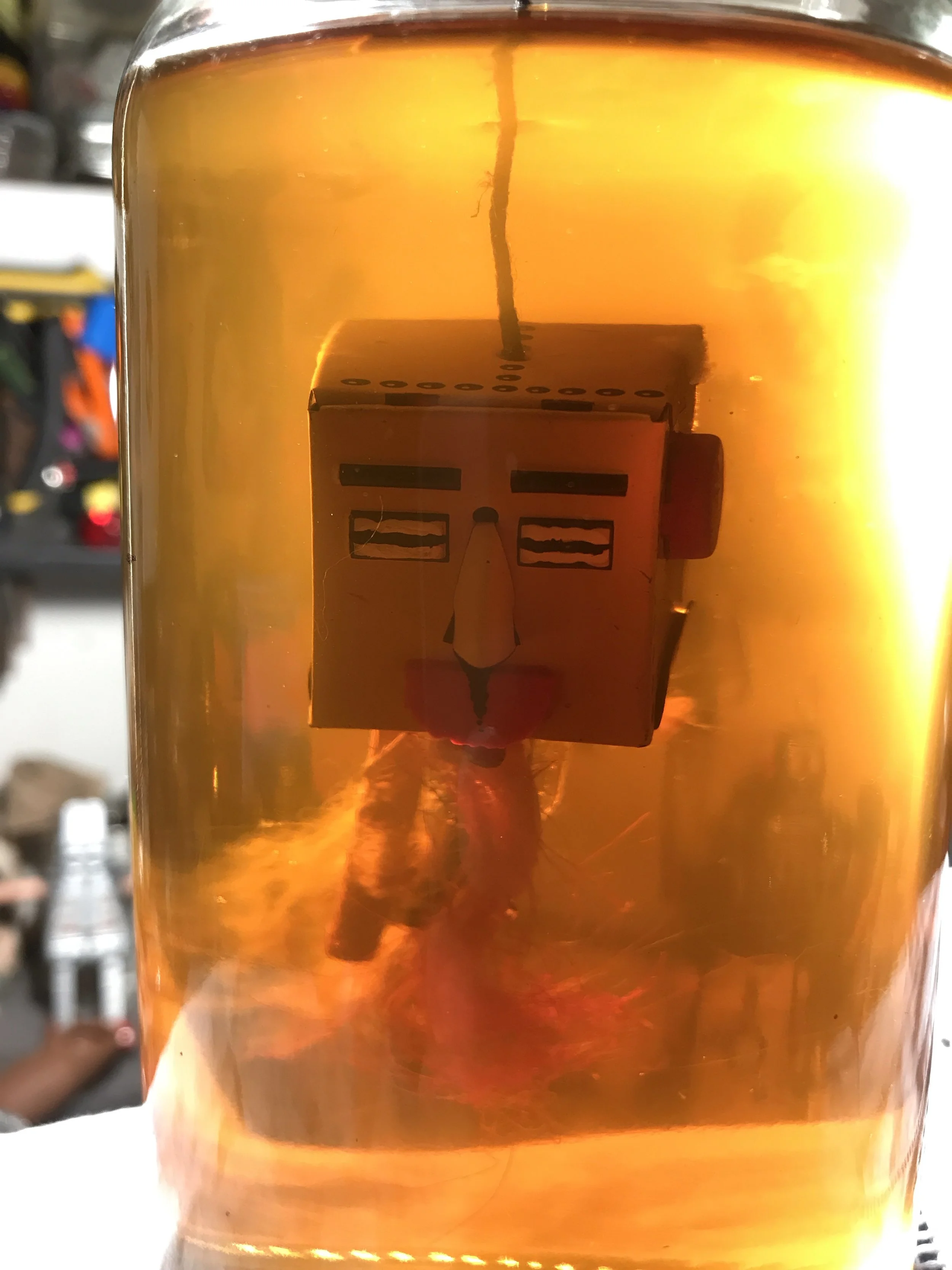 Yellow head 