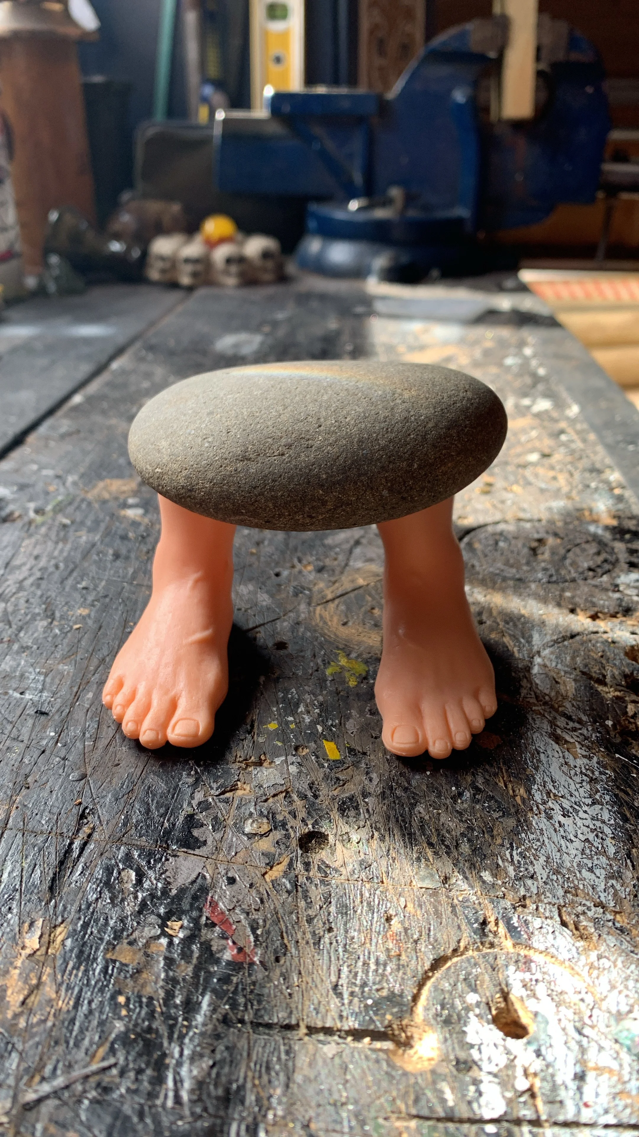 A fit pet rock  (out of stock)