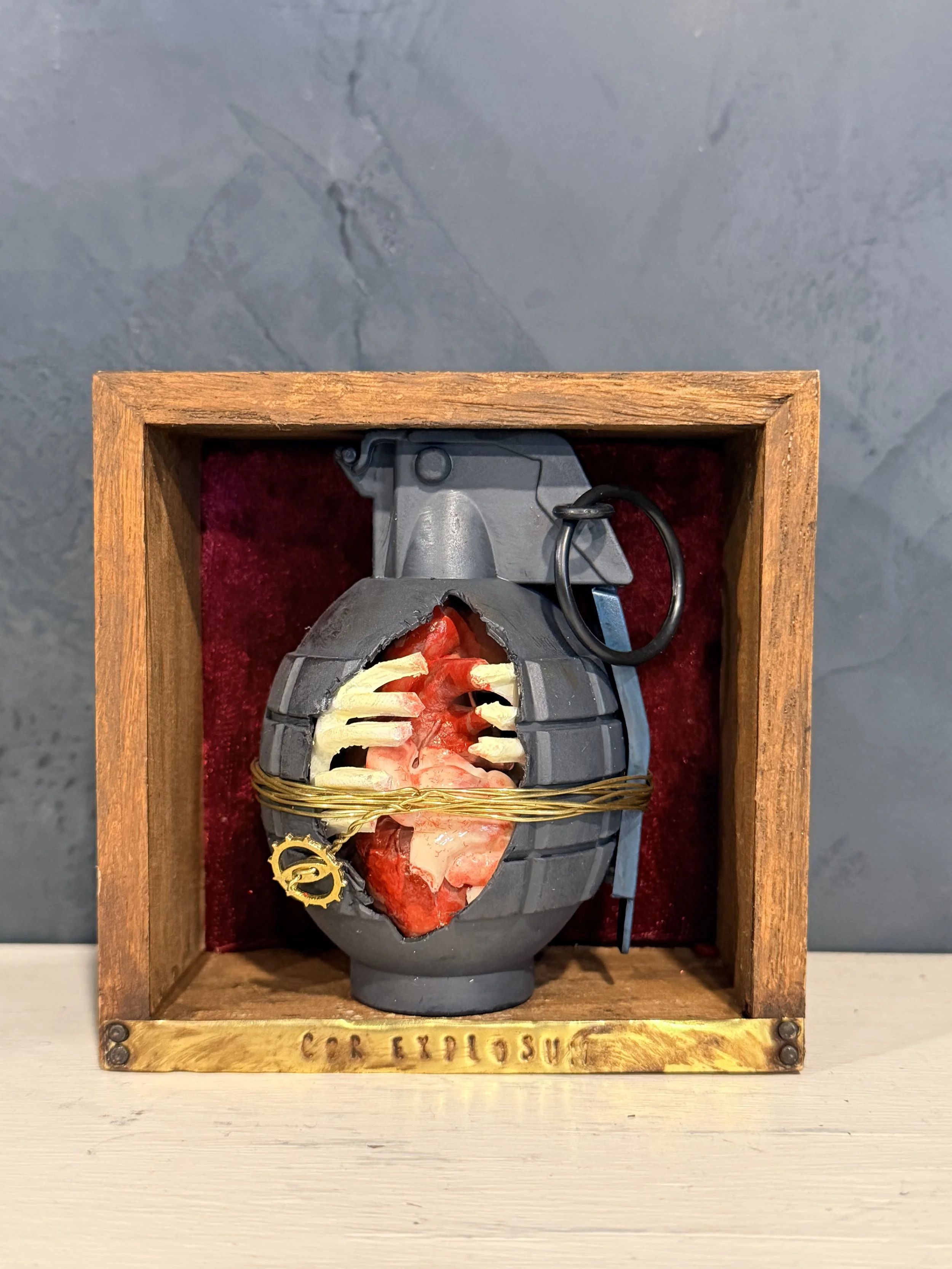 A model of a human torso with exposed spine and ribs, wrapped with gold wire, placed inside a wooden box with a red interior lining.
