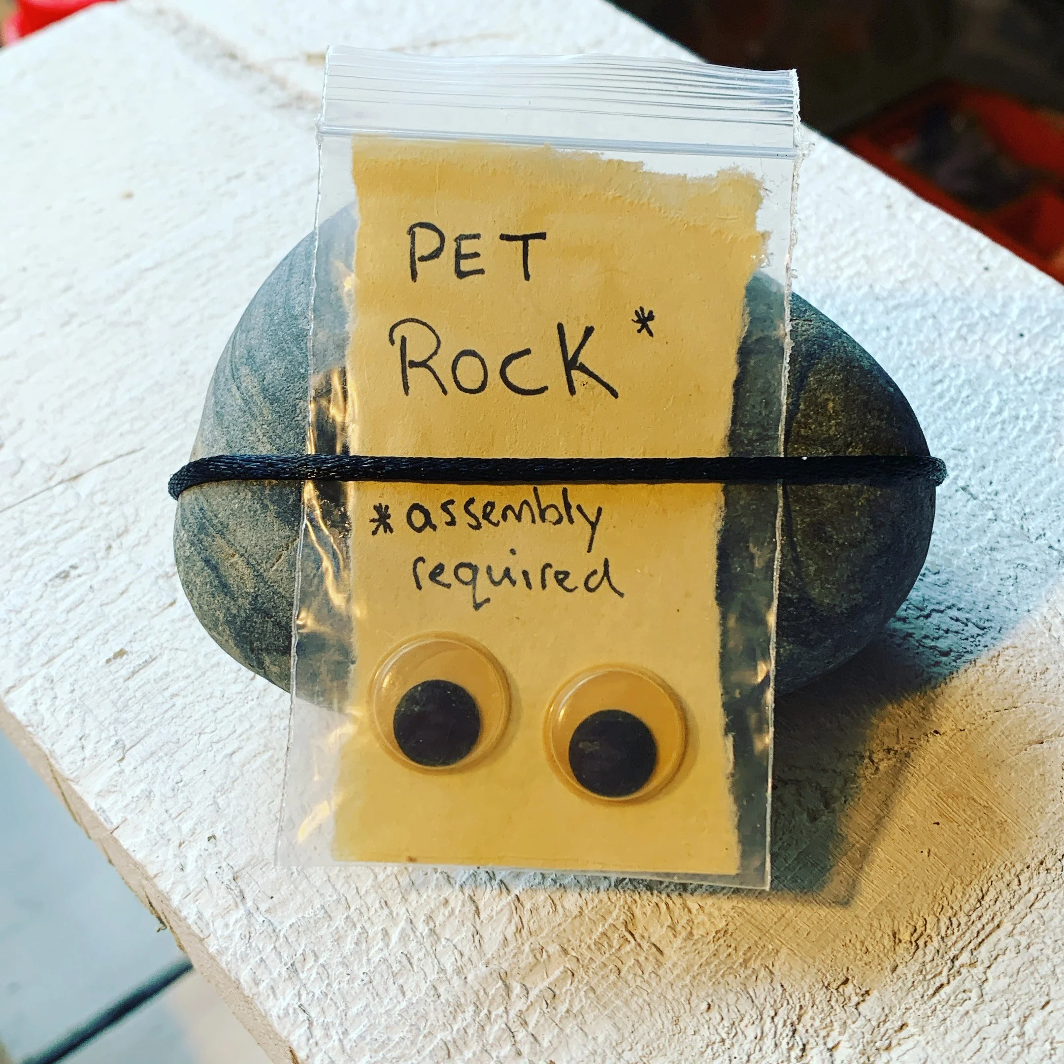 DIY pet rock  $15