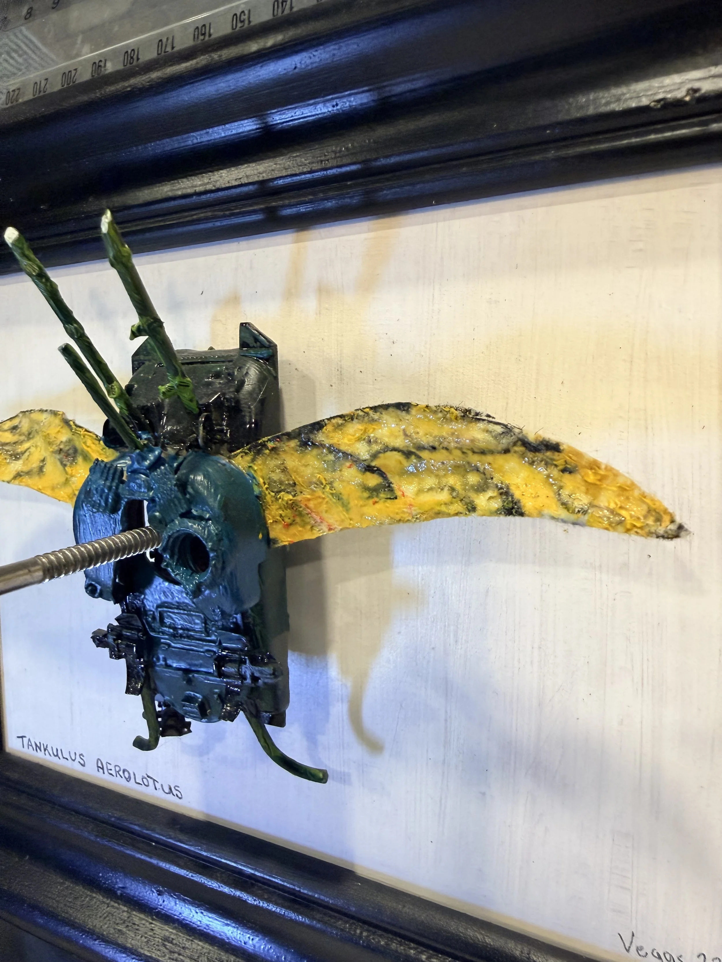 A model of a tank with three green plant stems attached, mounted on a black stand. The tank model is painted with yellow and black, resembling a military tank. The model is labeled 'TANKULUS AEROLITUS' at the bottom left corner of the display.