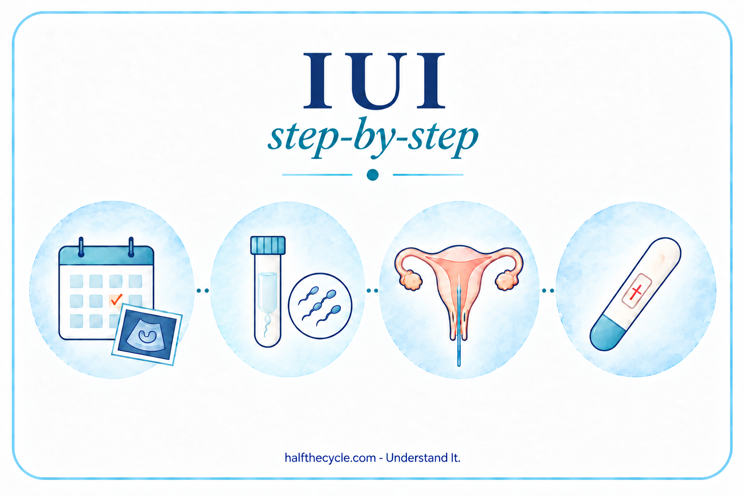 IUI: step-by-step