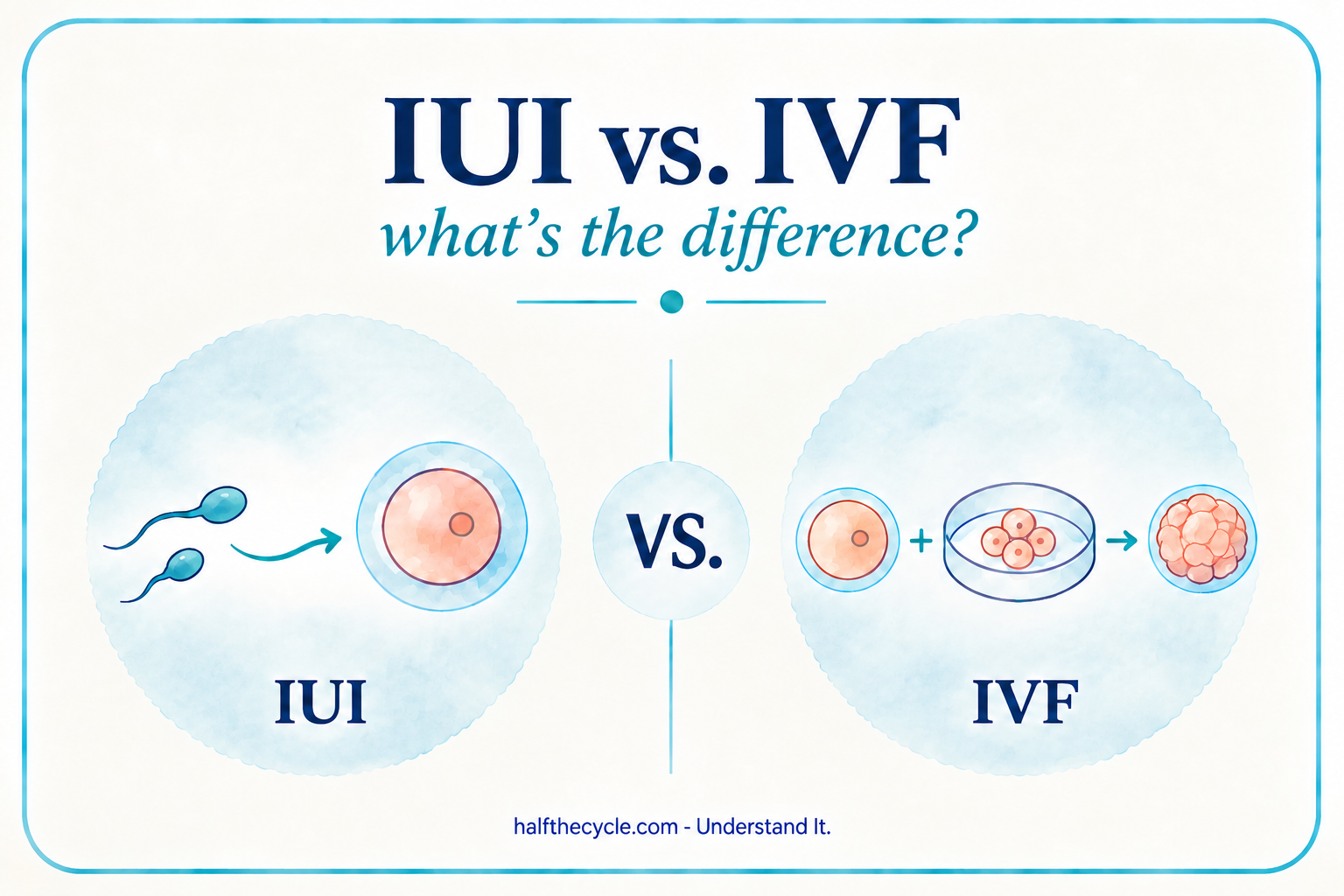 IUI vs. IVF: what’s the difference?