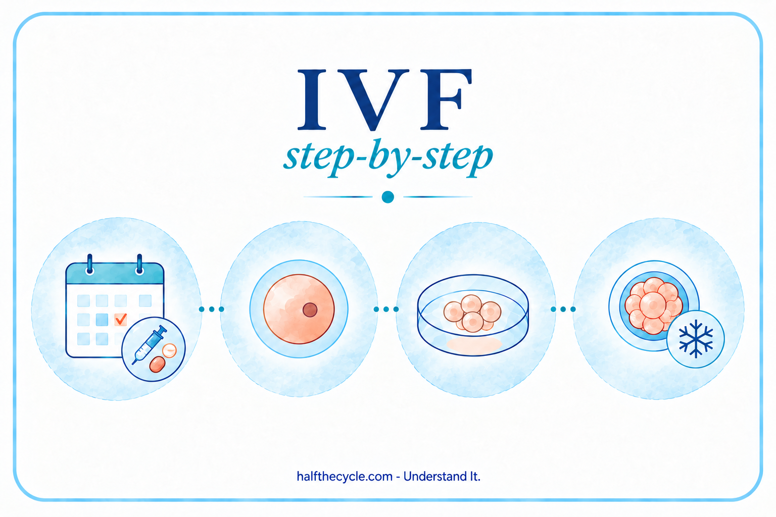IVF: step-by-step