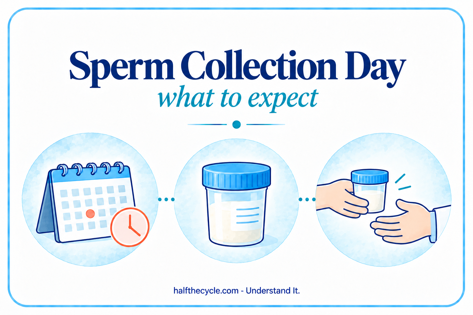 Sperm Collection Day: what to expect