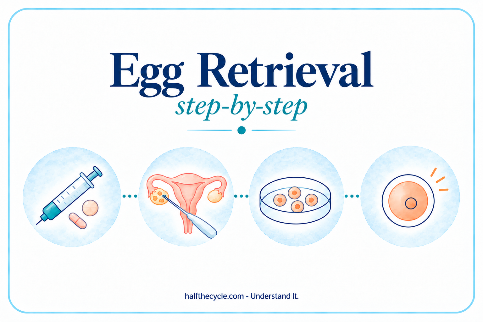 Egg Retrieval: step-by-step