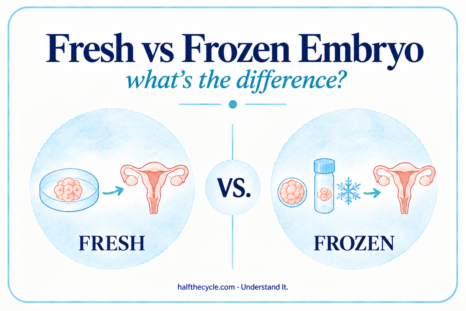 Fresh vs. Frozen Embryo: what’s the difference?