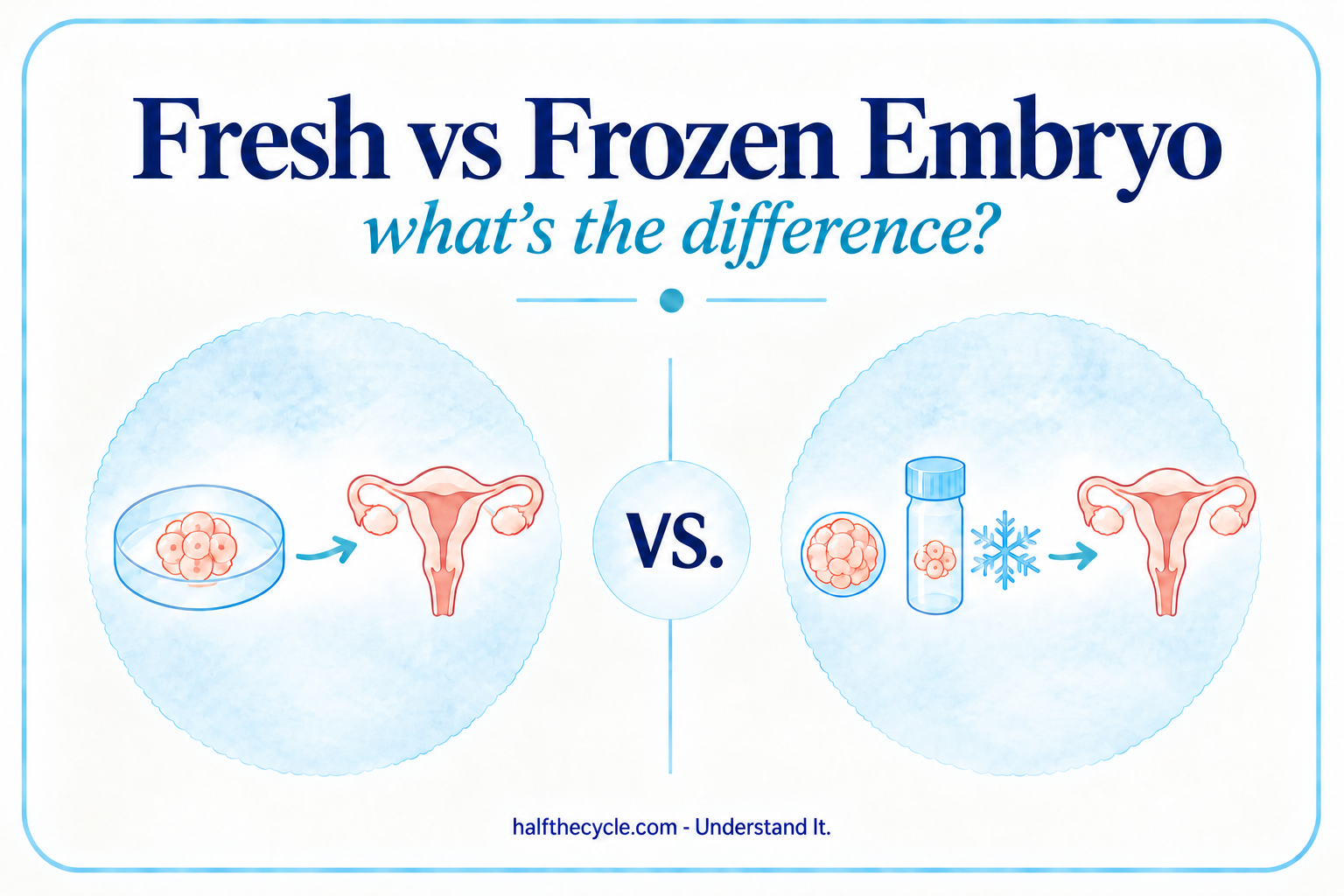 Fresh vs. Frozen Embryo: what’s the difference?