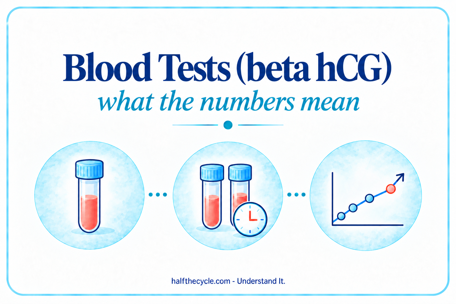 Blood Test (beta hCG) Results: what the numbers mean