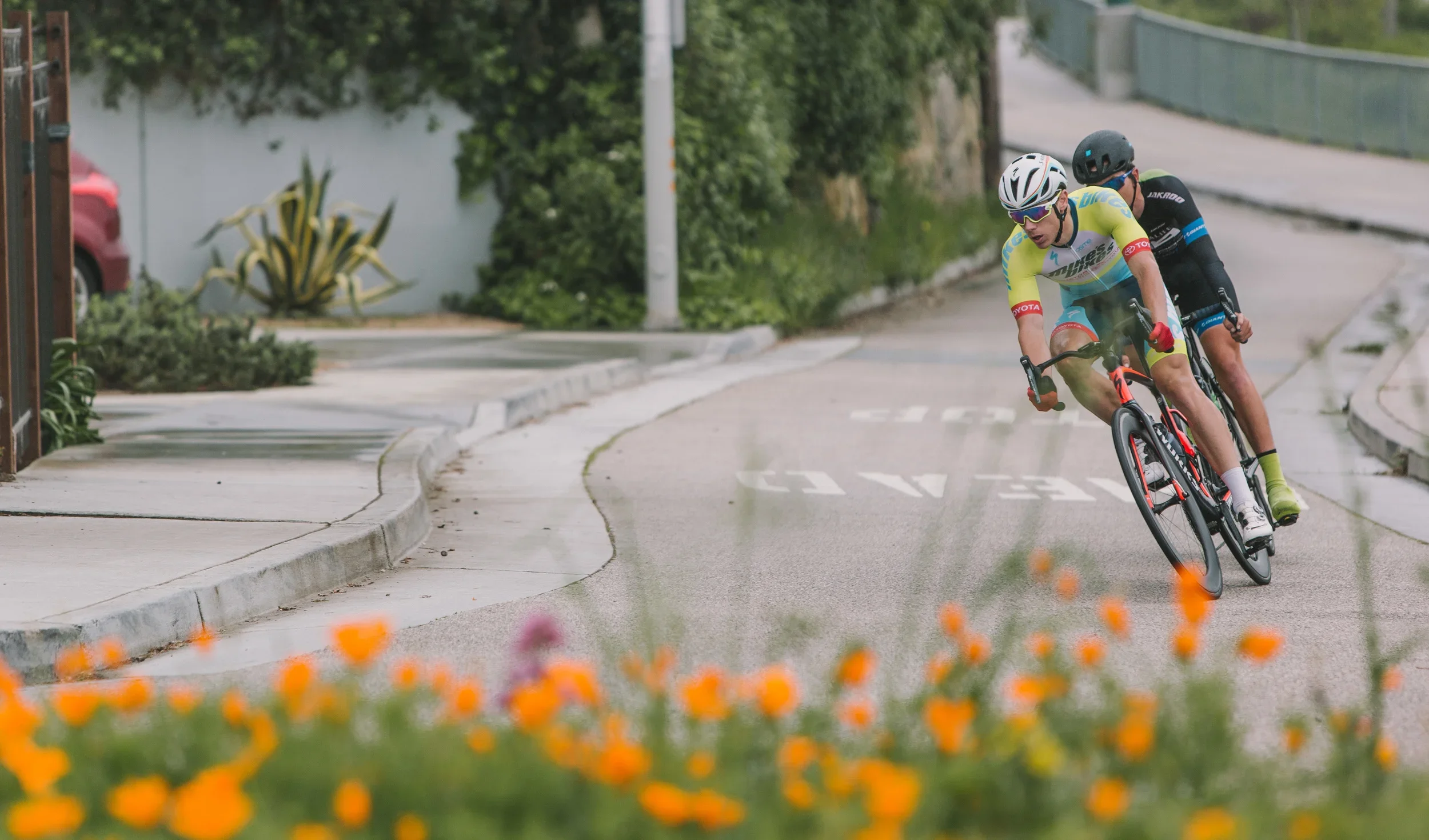JReynolds_SantaCruzClassic-14.webp