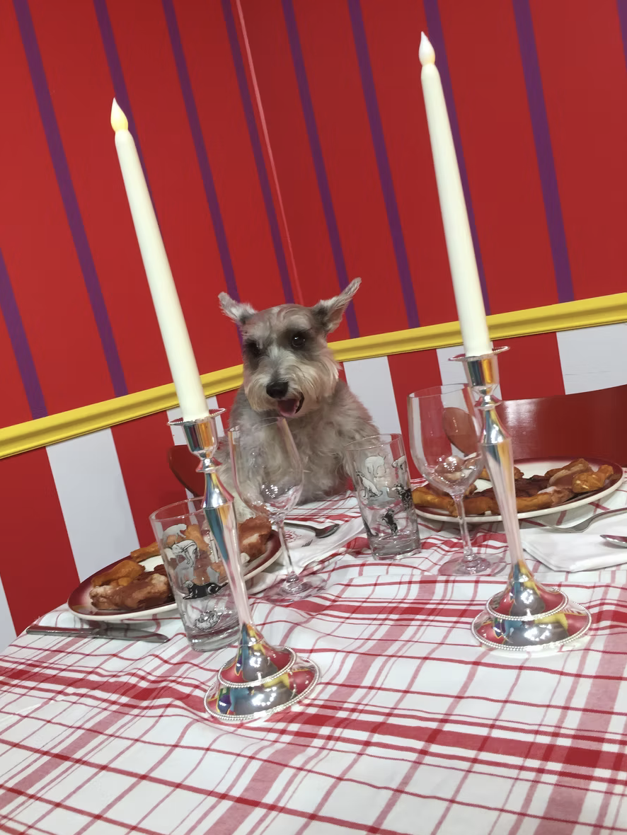 A dog sitting at a dining table set for a meal with two lit candles, glasses, and plates of food, against a red and purple striped wall.