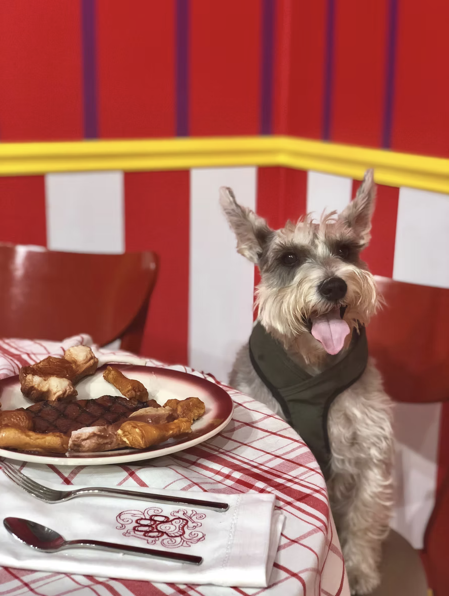 A dog with gray and white fur, wearing a green vest, sitting next to a plate of mixed grilled and fried chicken on a table with a red and white checkered tablecloth, in a restaurant with red and white striped walls.