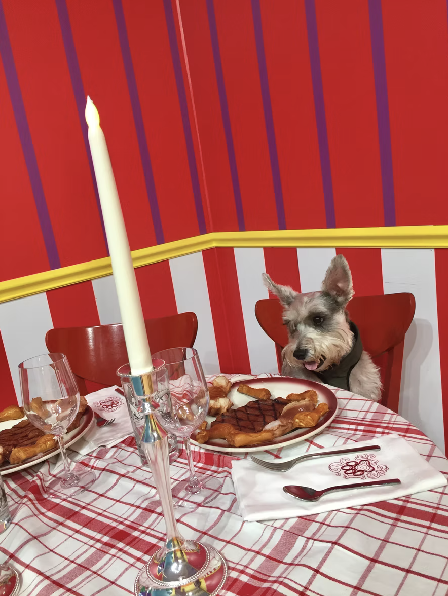 Dog seated at a Christmas-themed dinner table with a plate of steak and sides, a candle, and wine glasses, with red, white, and yellow decor in the background.