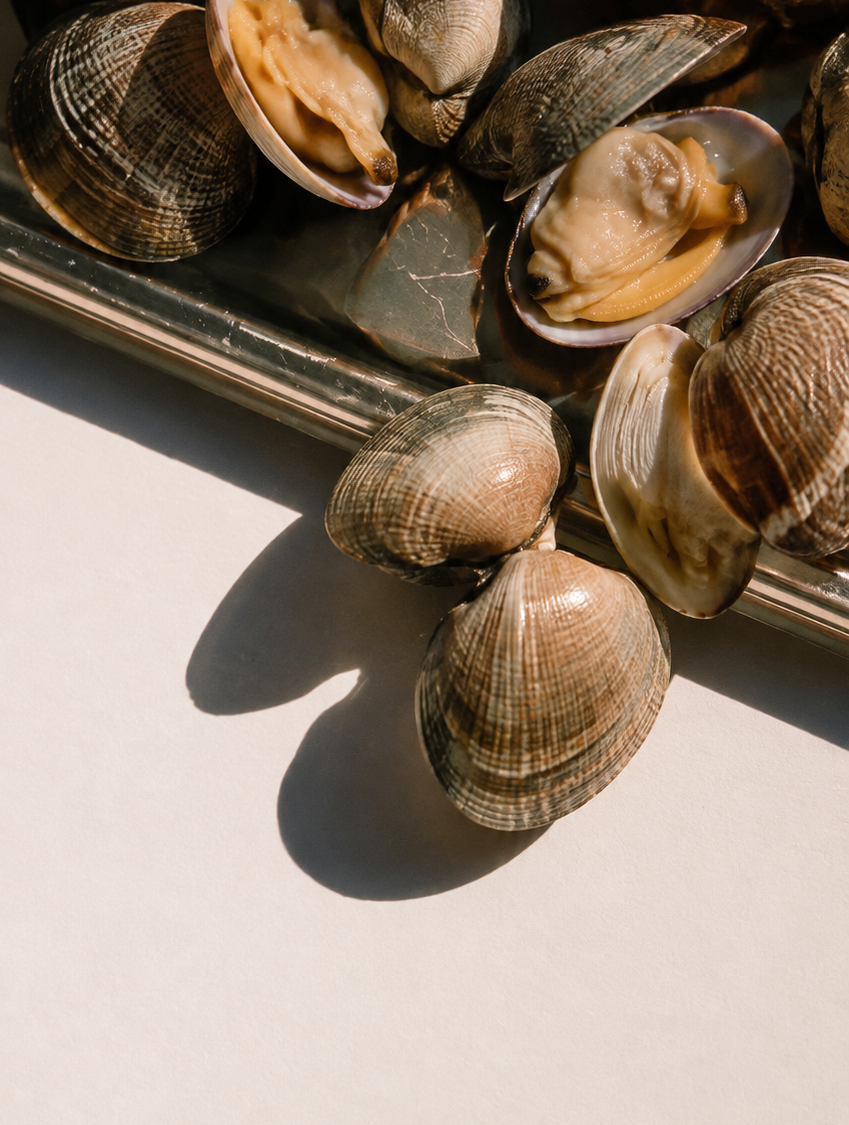 Shellfish on a metal tray with some shells open, showing the meat inside, with shadows and sunlight highlighting their texture.