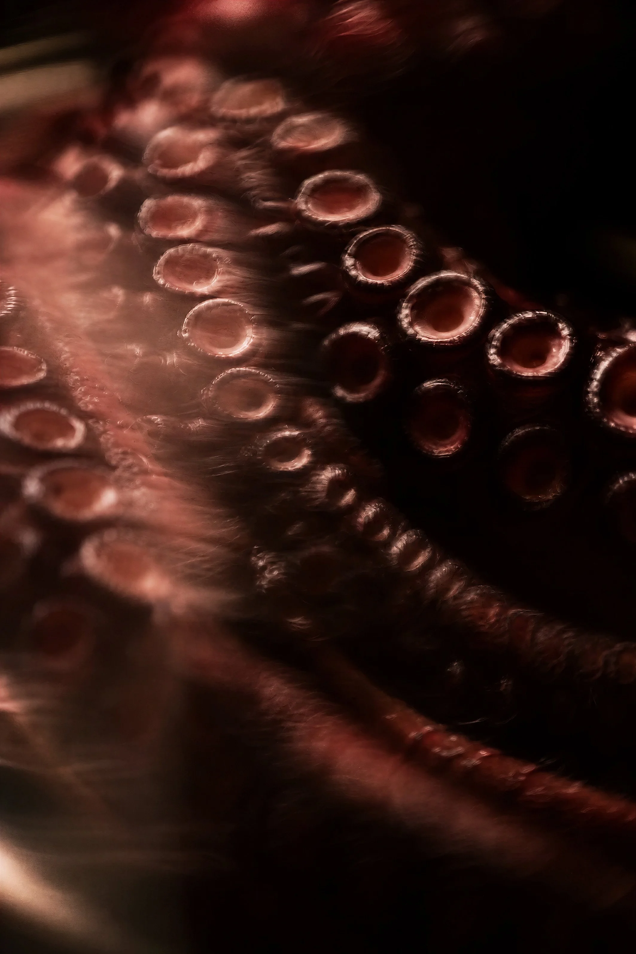 Close-up photograph of numerous metal screw threads with a reddish hue, creating a pattern of circular and spiral shapes.