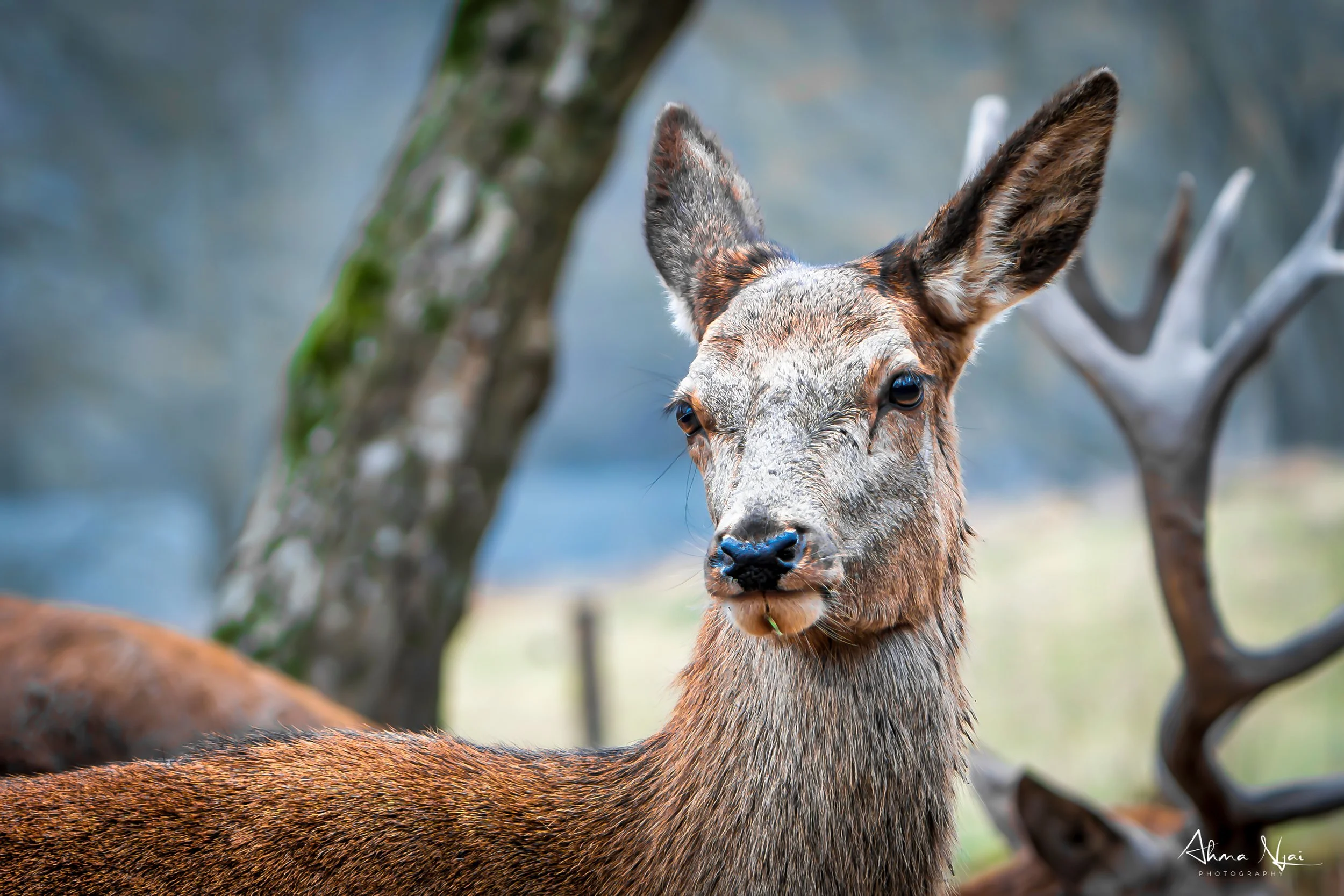 _DSC4070-Verbessert-RR.jpg