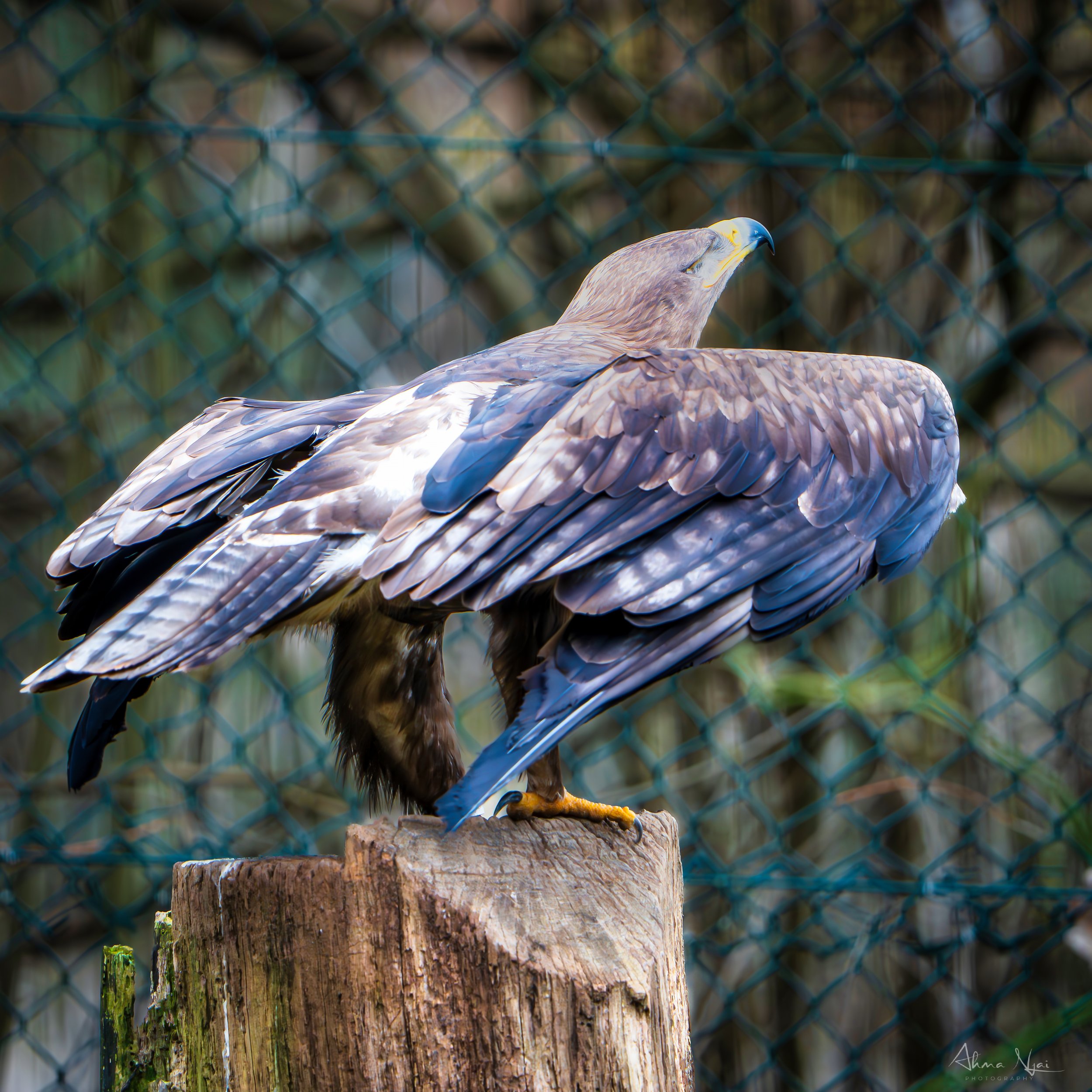 _DSC4055-Verbessert-RR.jpg