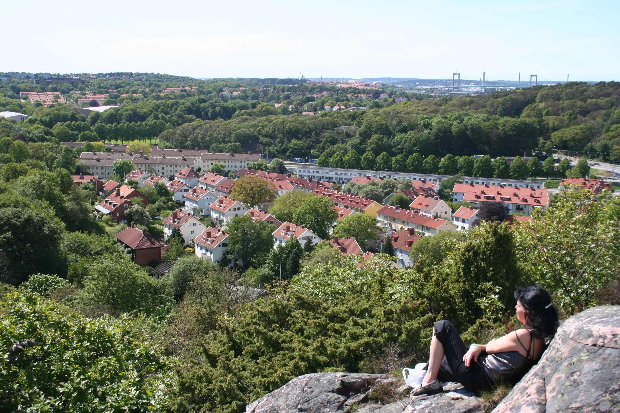 Woman sitting on rocks overlooking a landscape of suburban houses, trees, and a bridge in the distance.