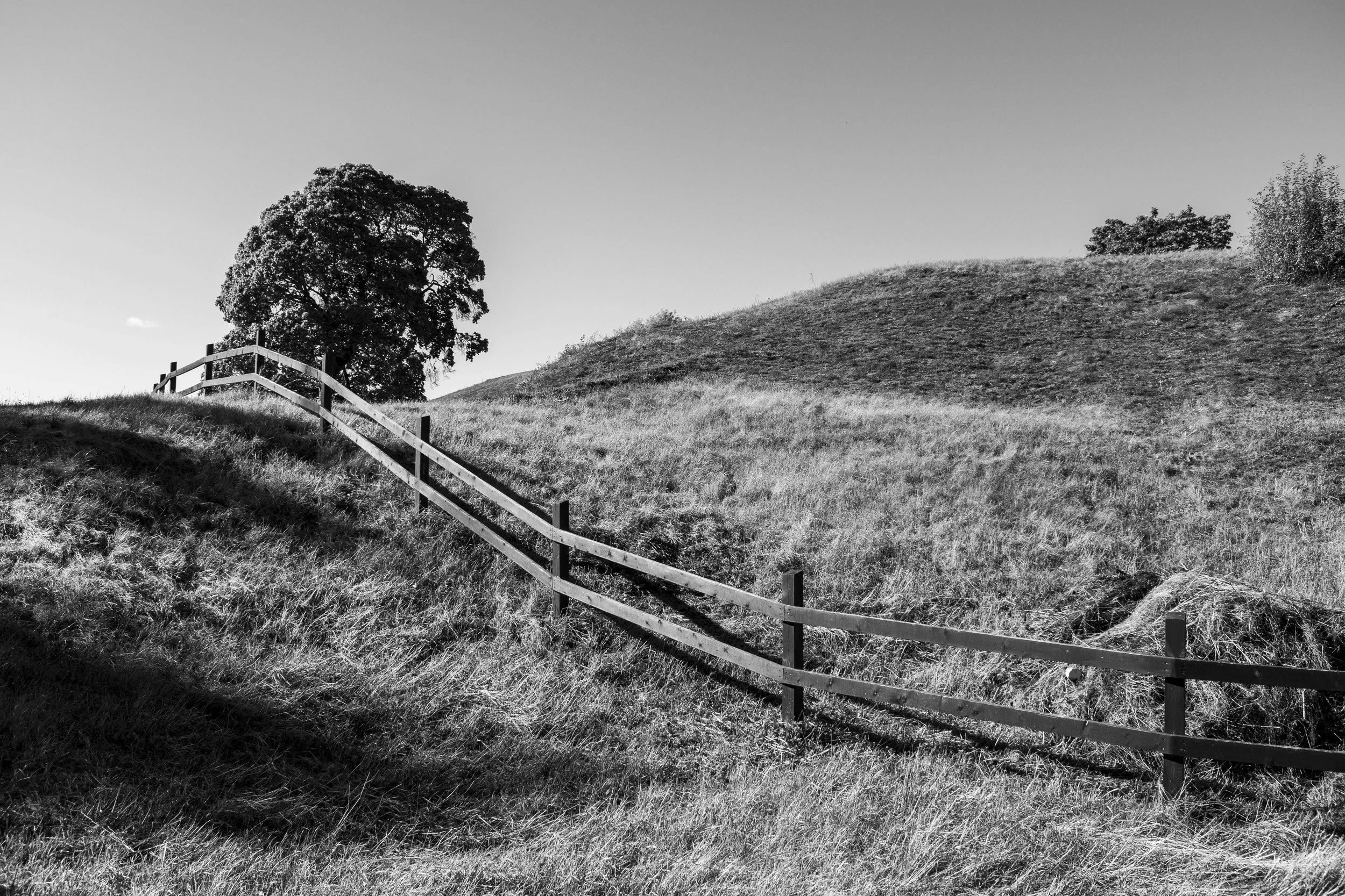 A black and white photo of a hillside with grassy terrain, a wooden fence leading up the hill, and trees scattered across the landscape under a clear sky.