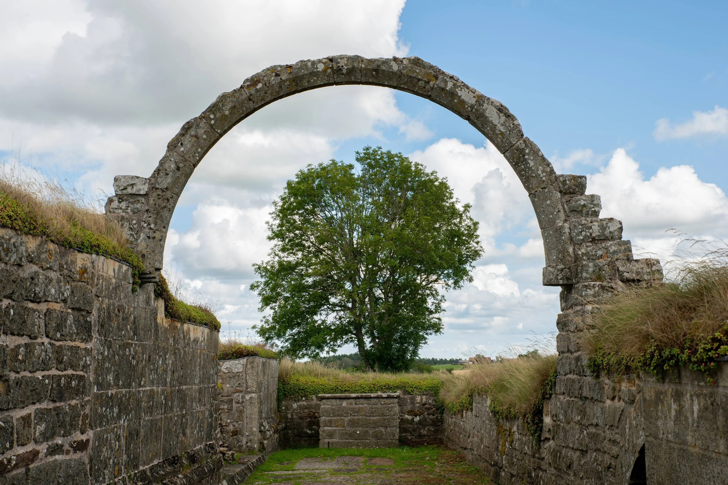 Ancient stone archway with a large green tree visible through it, surrounded by grassy fields and cloudy sky.
