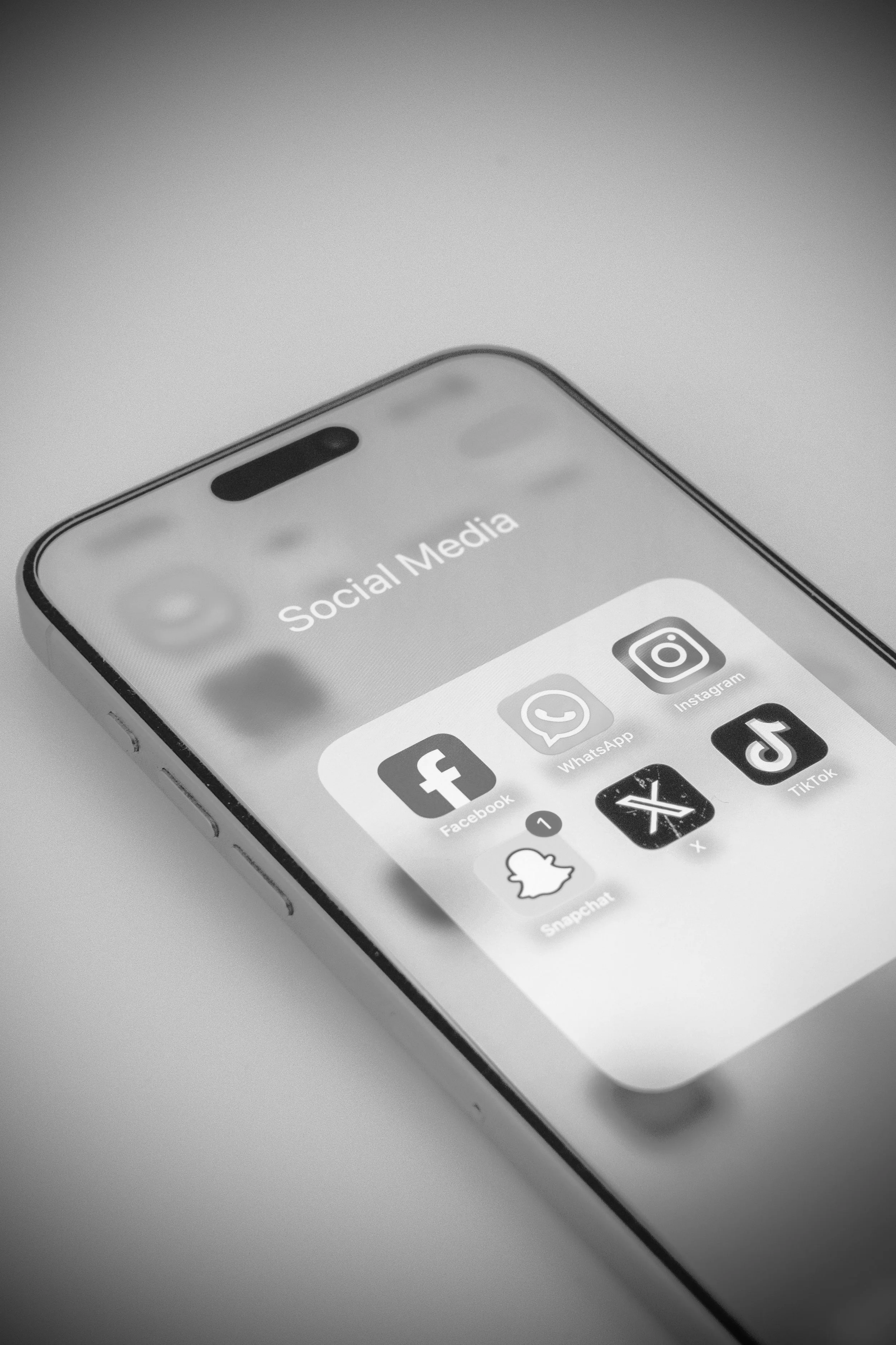 THE SOCIAL MEDIA BOOST