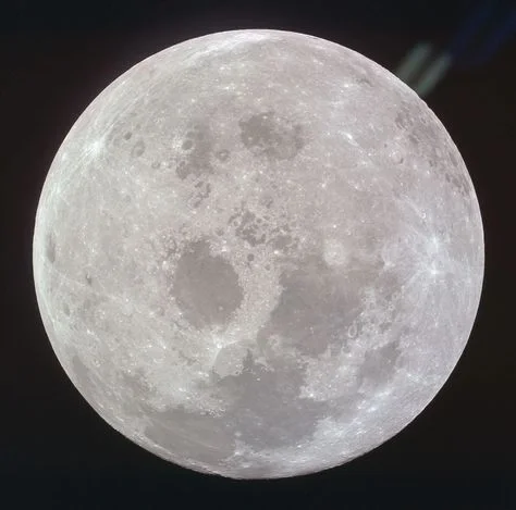 Close-up of the full moon showing detailed crater surface.