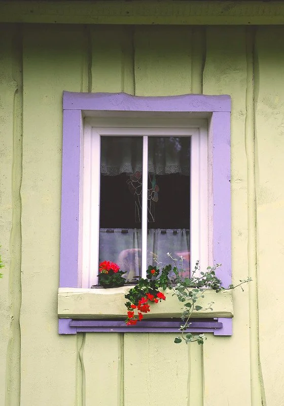 A window with a white frame and a purple border on a yellow-green wall, with a red flower pot and a trailing plant on the windowsill.