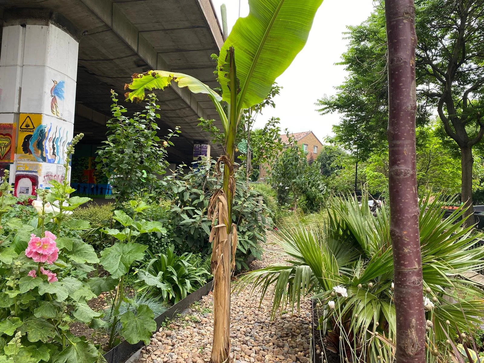 Tree 1.jpg