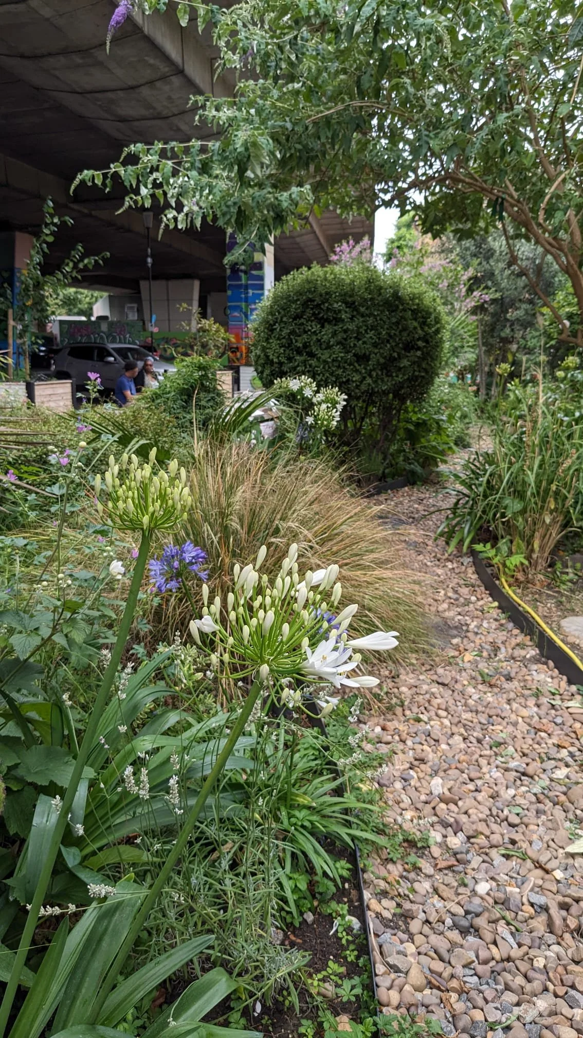 Our Garden of Hope