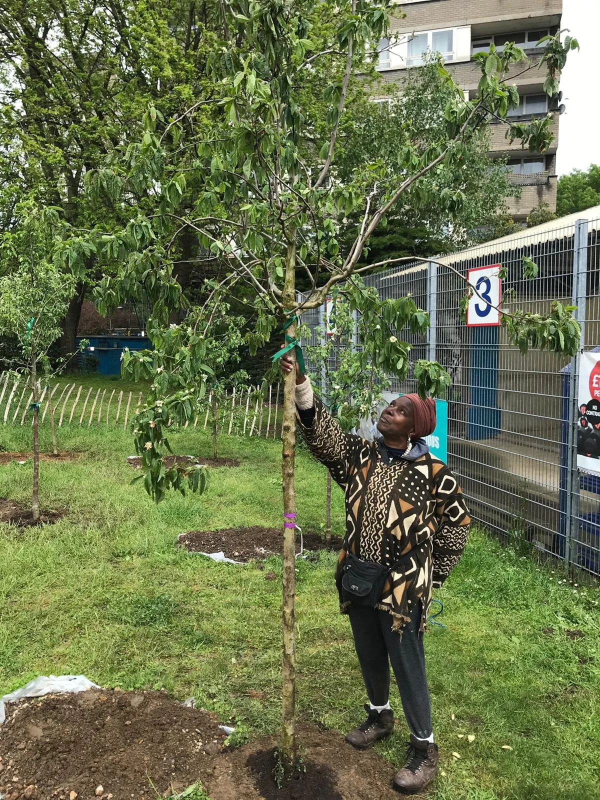 Hope Gardens W10