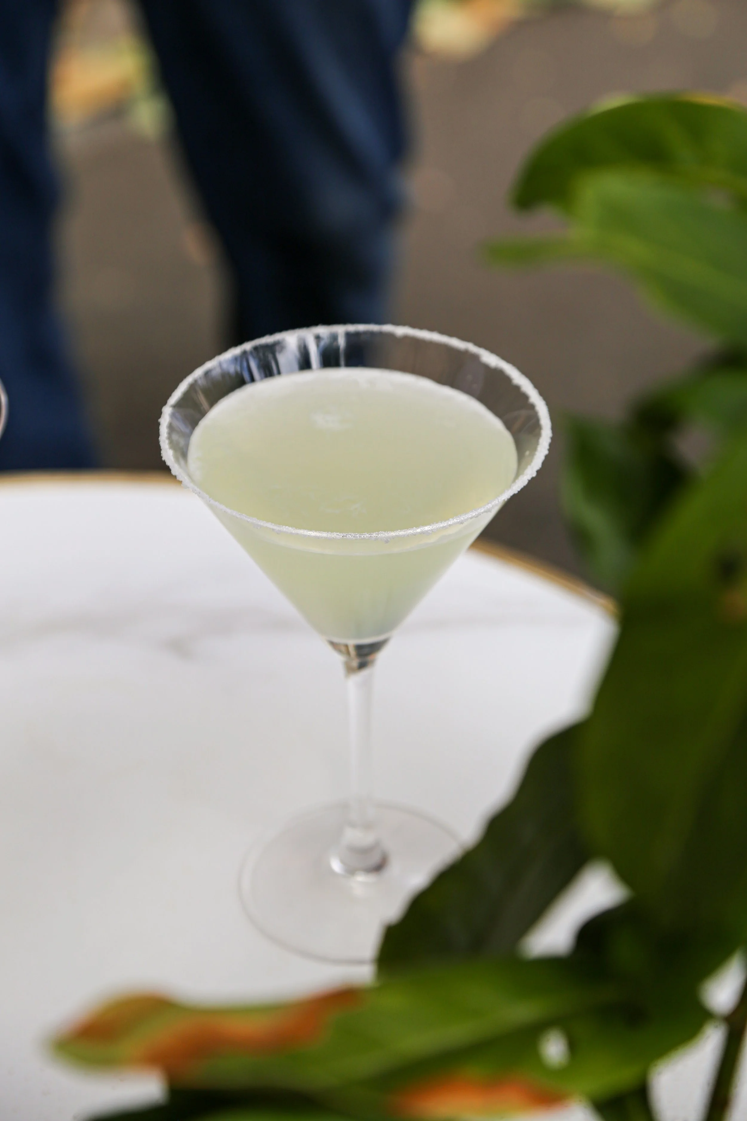 Un verre à cocktail avec une boisson verte, entouré de feuilles de plantes vertes.