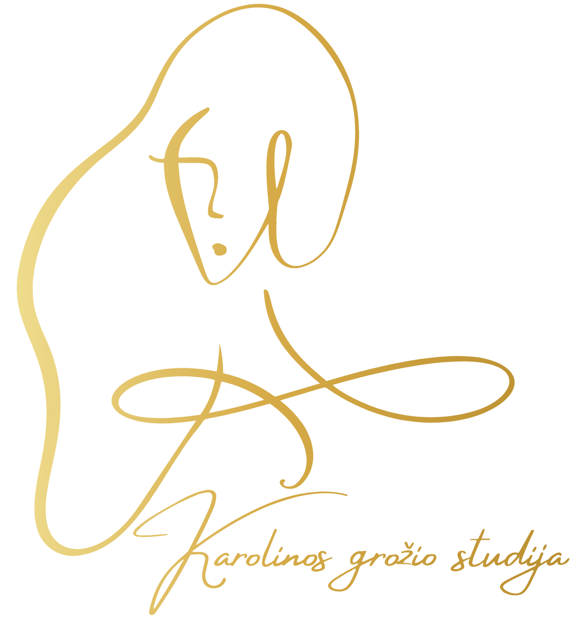 Karolinos grožio studija