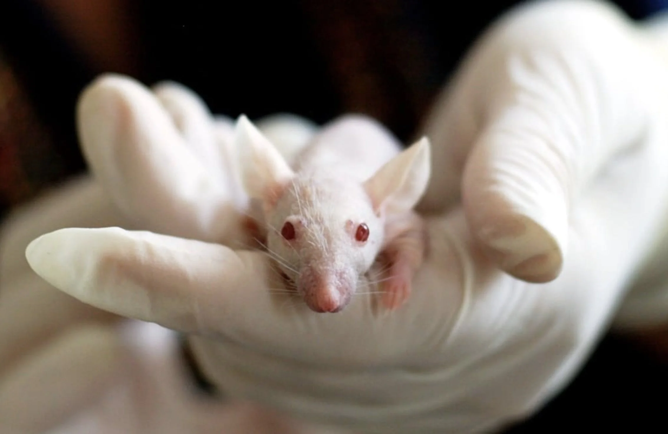 “Lab Rats” and the Ethics of Writing About Children